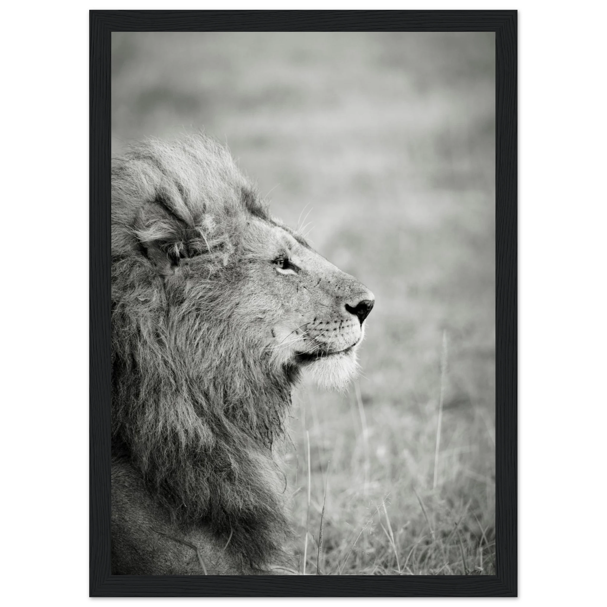 7a25249c-538b-4c92-9d3b-8ee22fe5897a