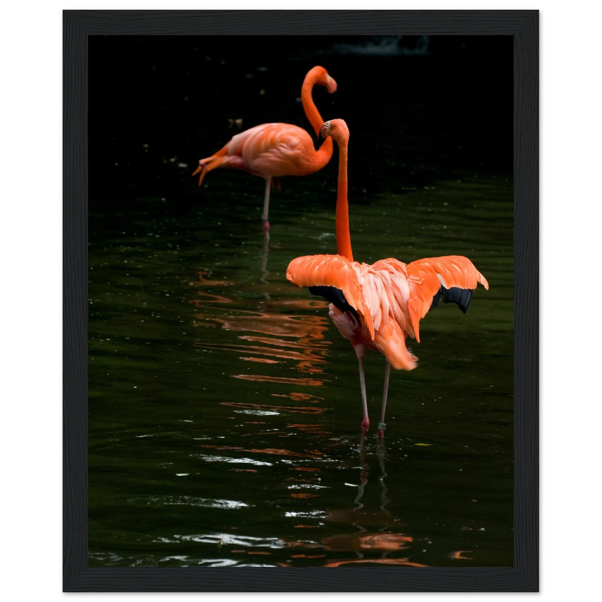 7a38de98-7ad3-4393-816b-2971a5504c26