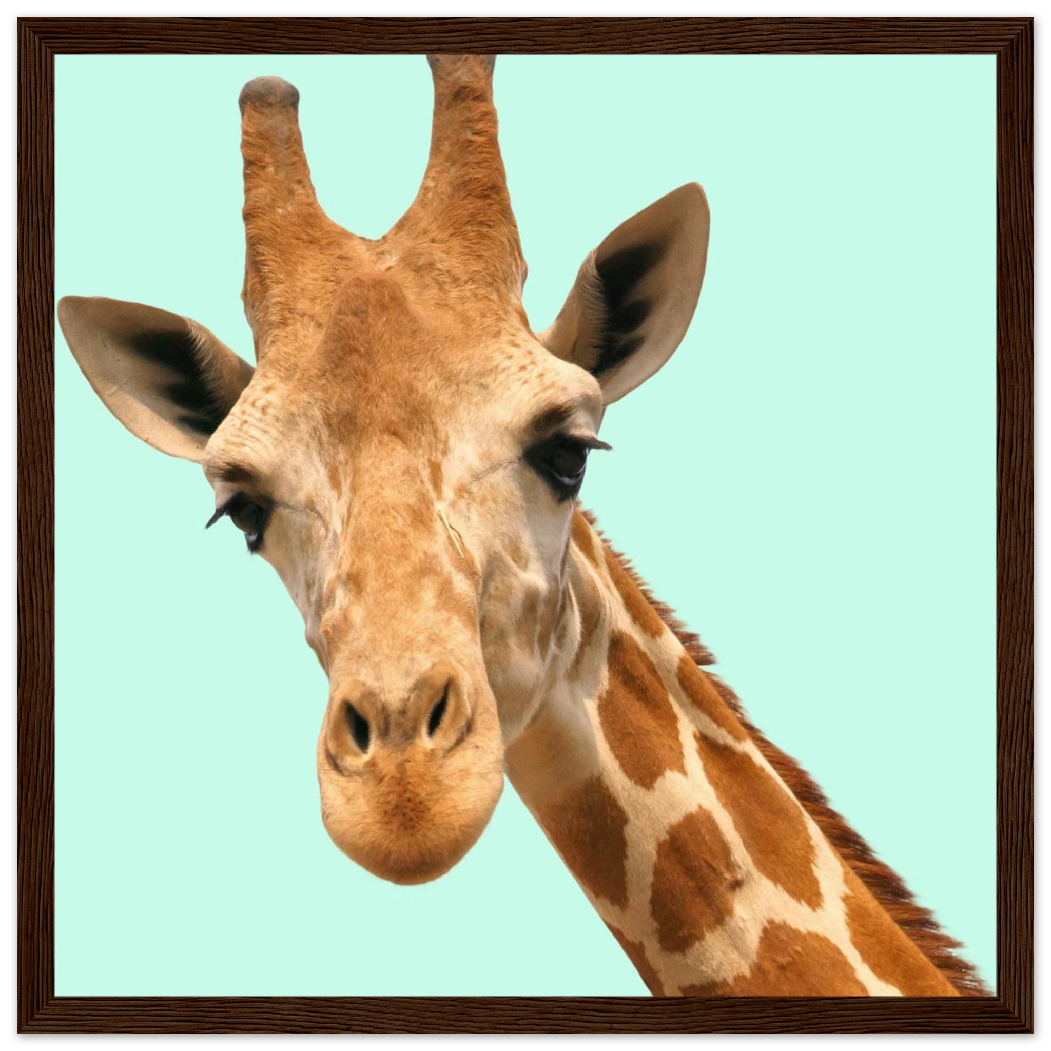 7a4479aa-7c4a-4394-959c-f57eab7c8403