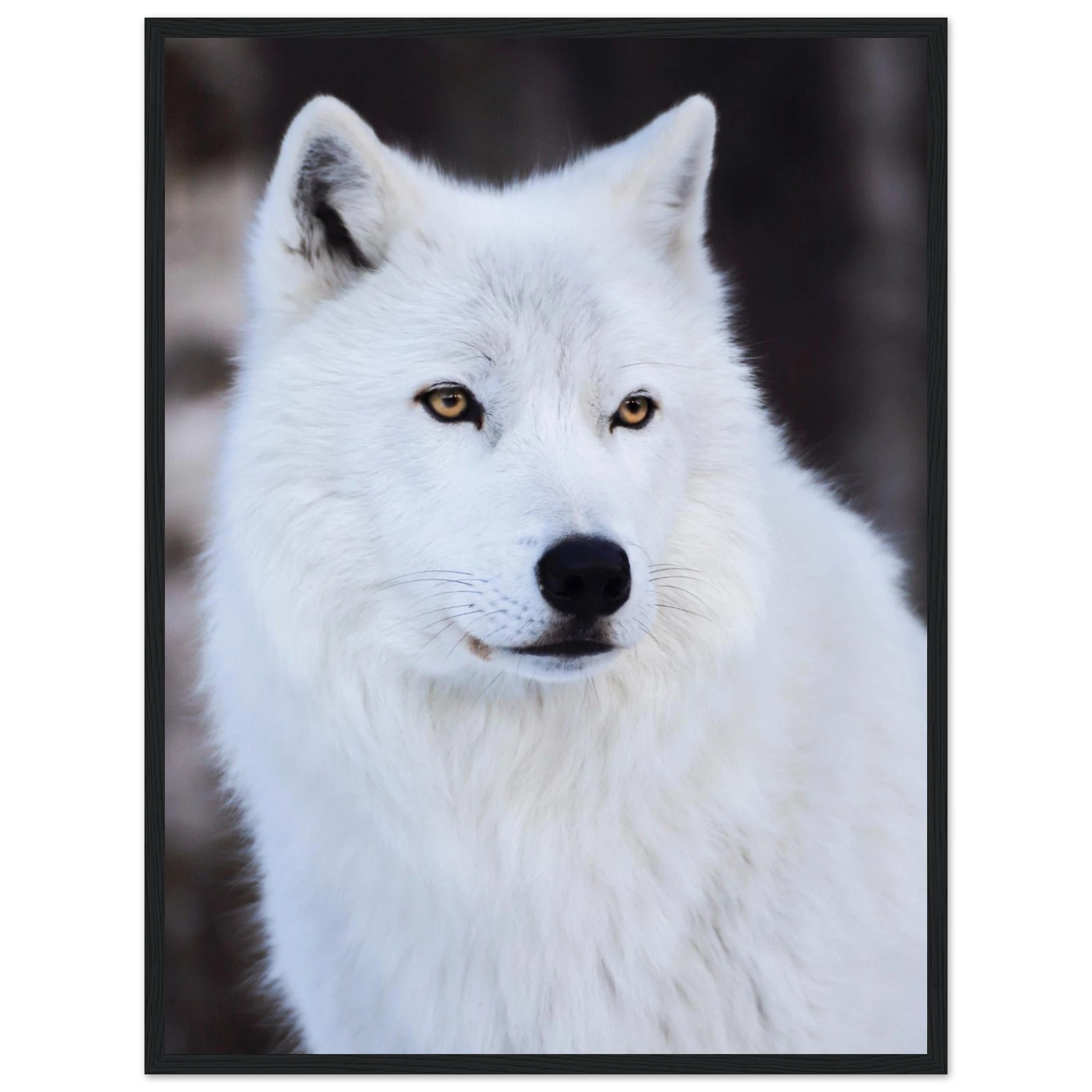 7a45870d-d26d-45e9-b255-a7c21b133bab