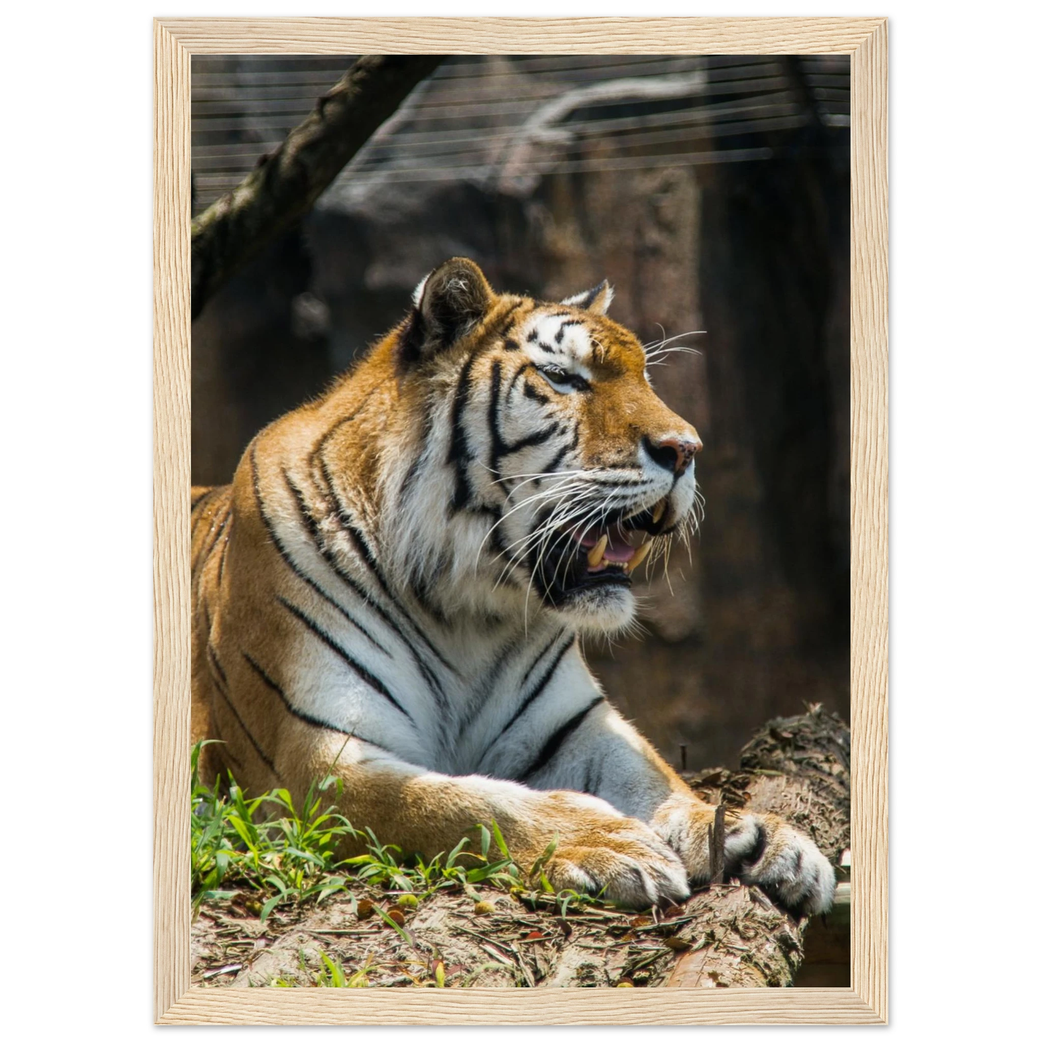 7a48bd56-a32a-493b-a83b-4adfa818f2a1