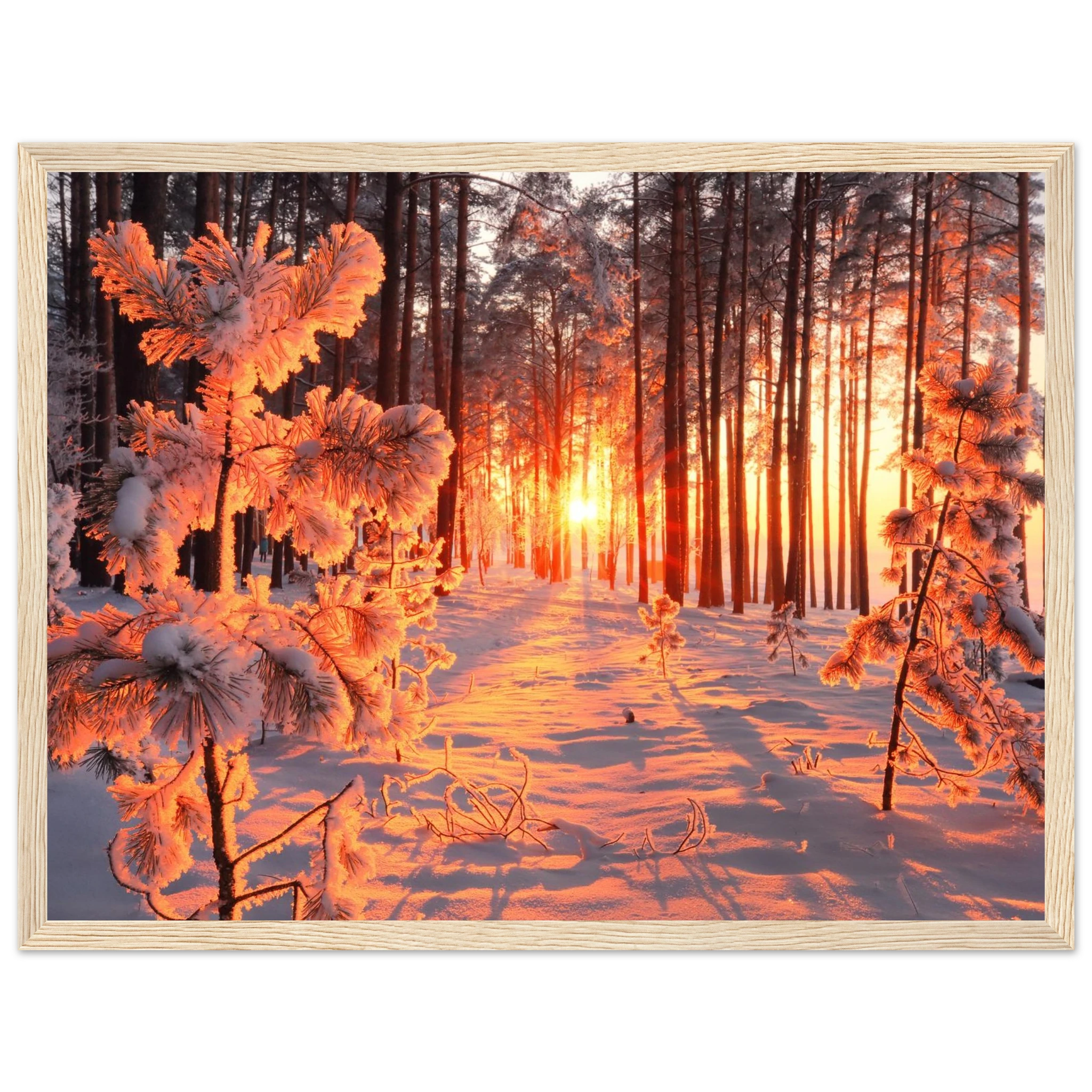 7a4925ac-ec99-4f19-979f-9ae24bed17c5