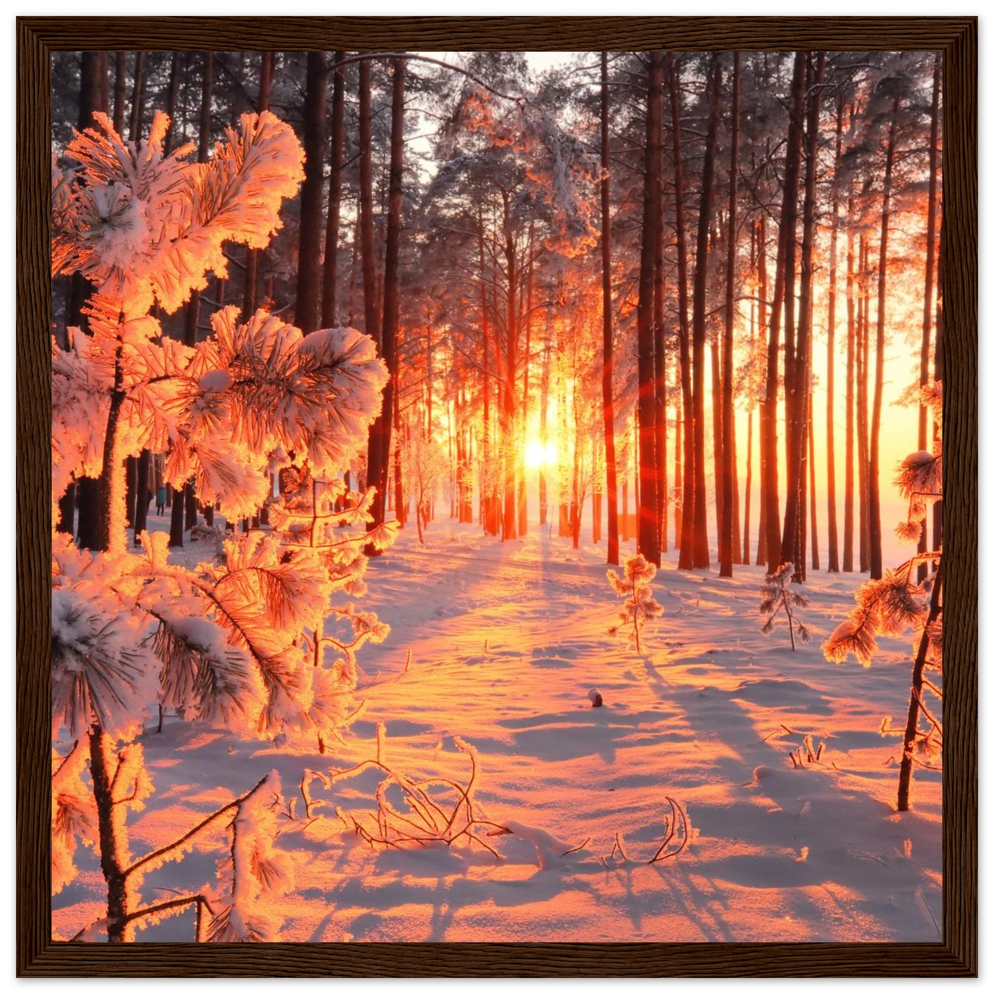 7a5f6734-45f8-42fe-9334-bc2fc2cc5bee