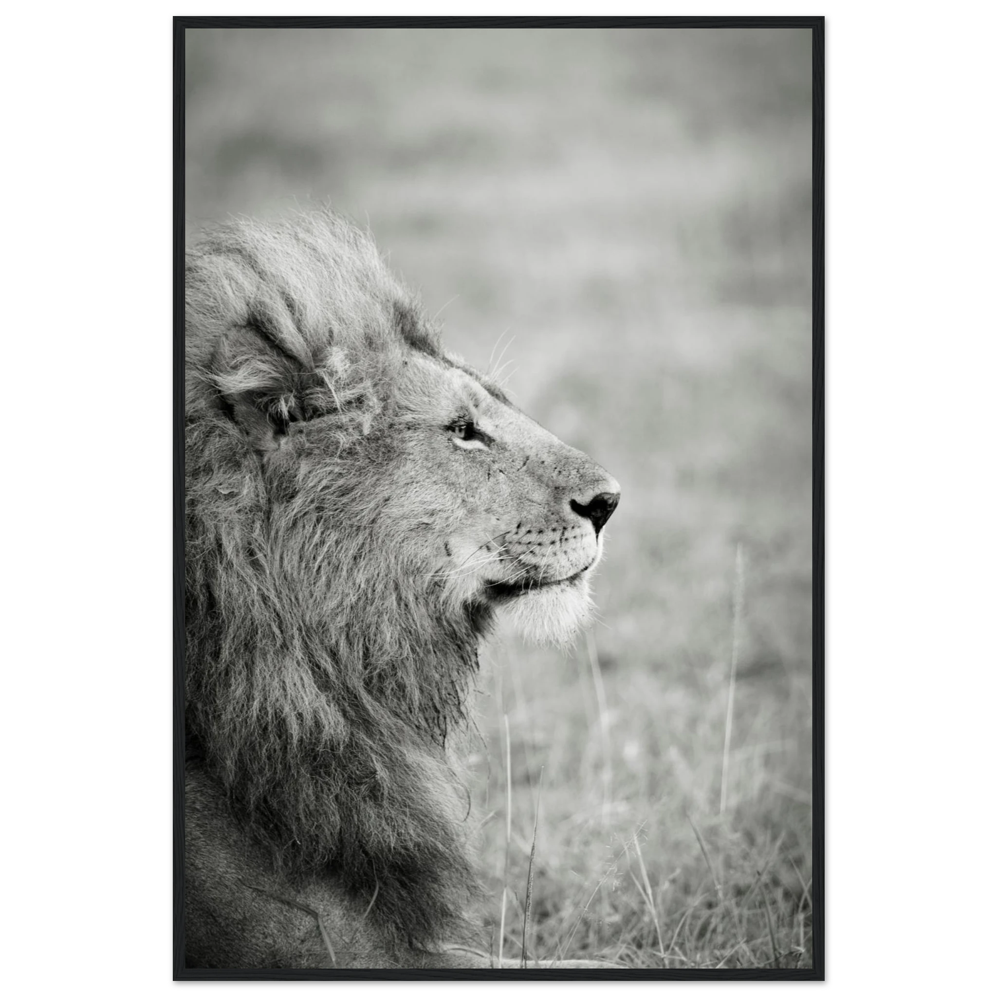 7a642350-5c79-4619-92dd-854e36280c5c