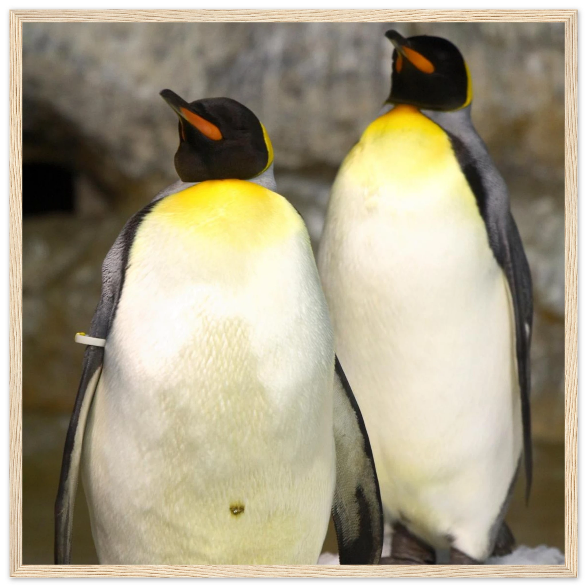 7a6d82a6-0385-4ebf-b5ed-28656a43a3f4