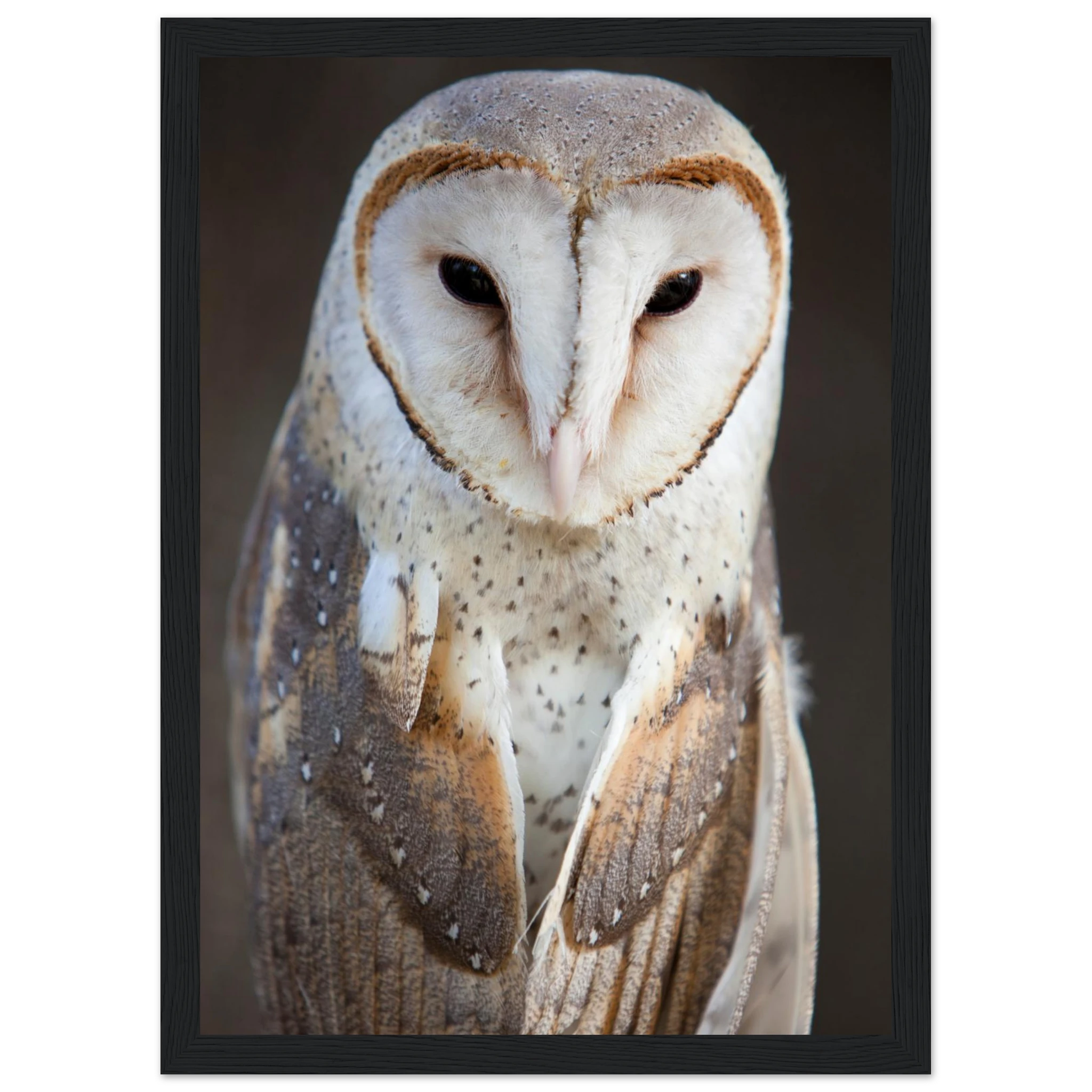 7a7035ca-ef42-42bd-878b-9bc175c479df