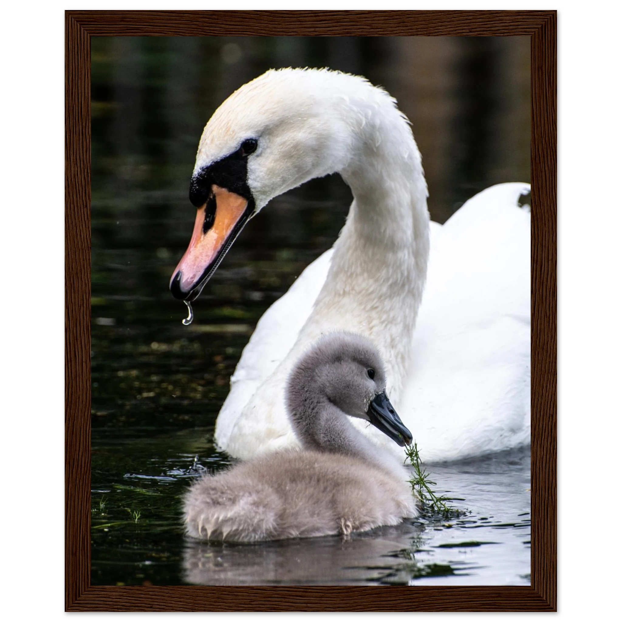 7a81245a-165d-4338-b573-4c591a073c51