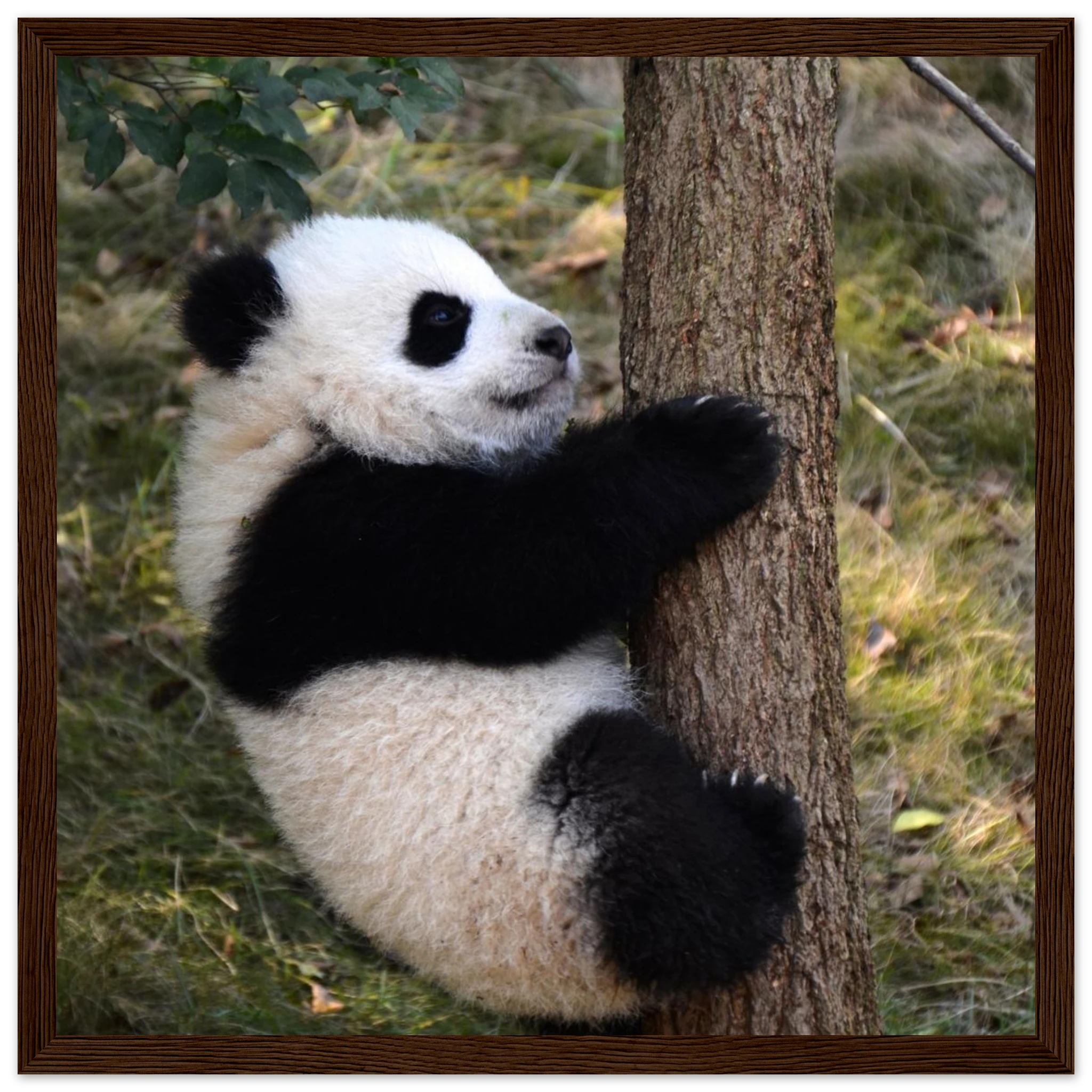 7a9da075-5056-4768-8dda-088c65f46a1f