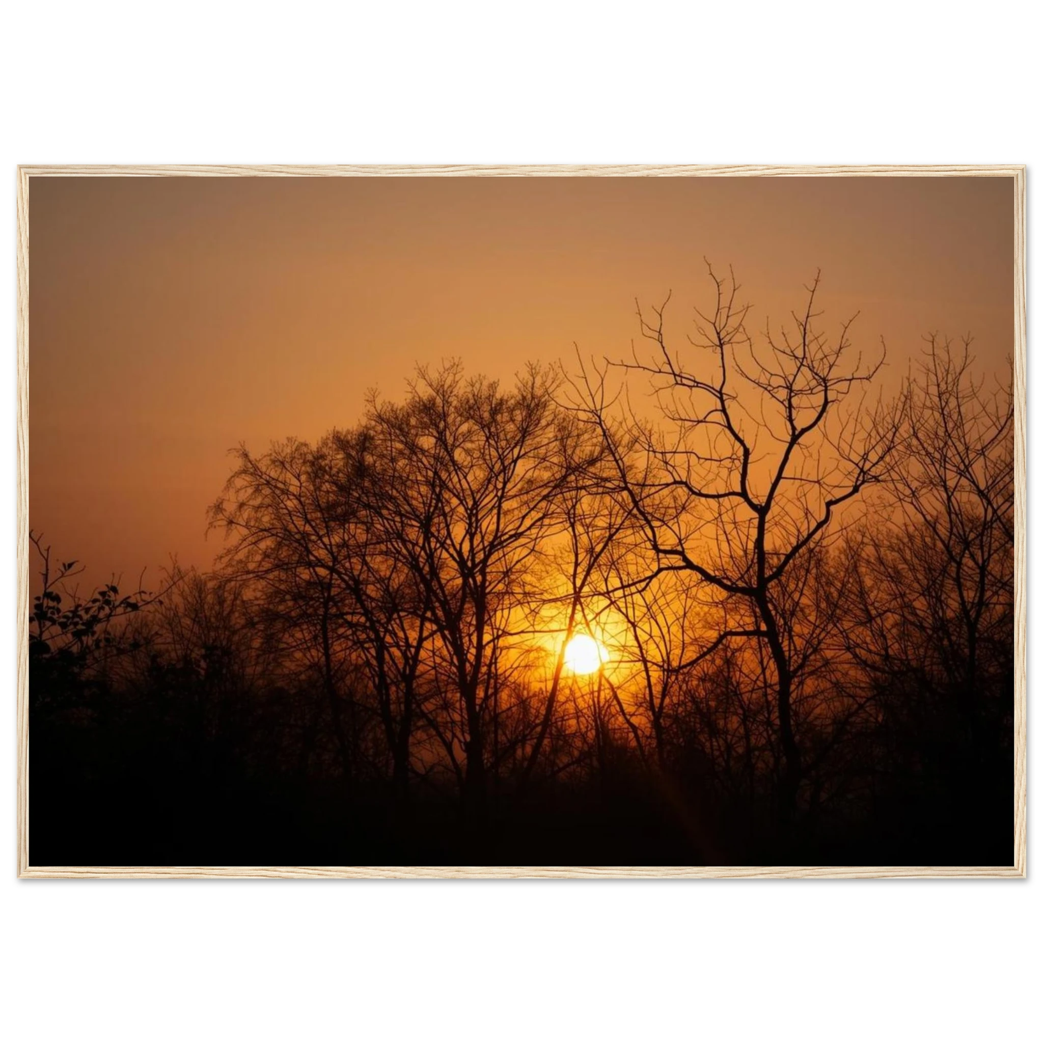 7a9f5f0e-efc4-42c0-8398-97dfa517a8e3