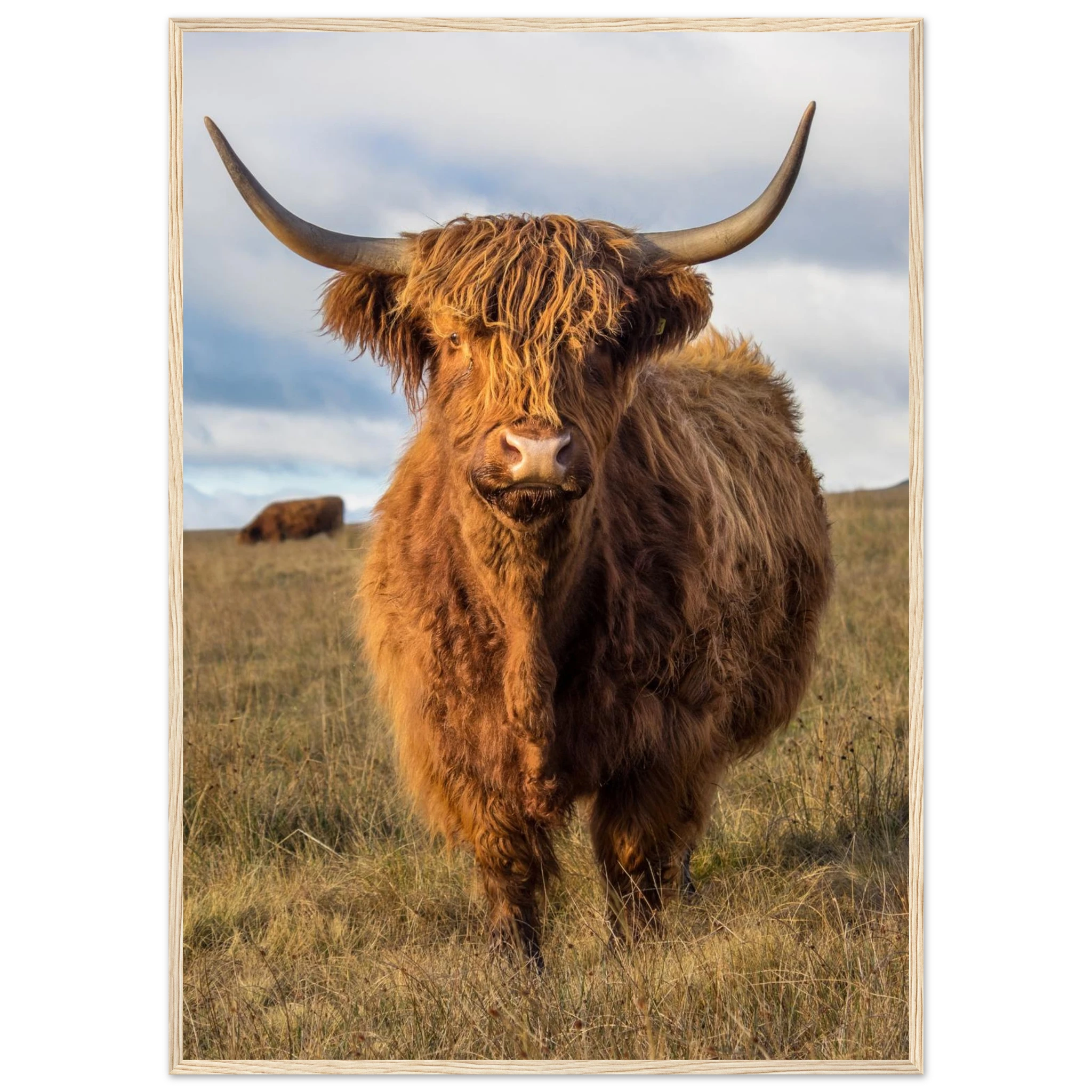 7ab9bbcf-98c8-4a57-8df4-5995d698e592