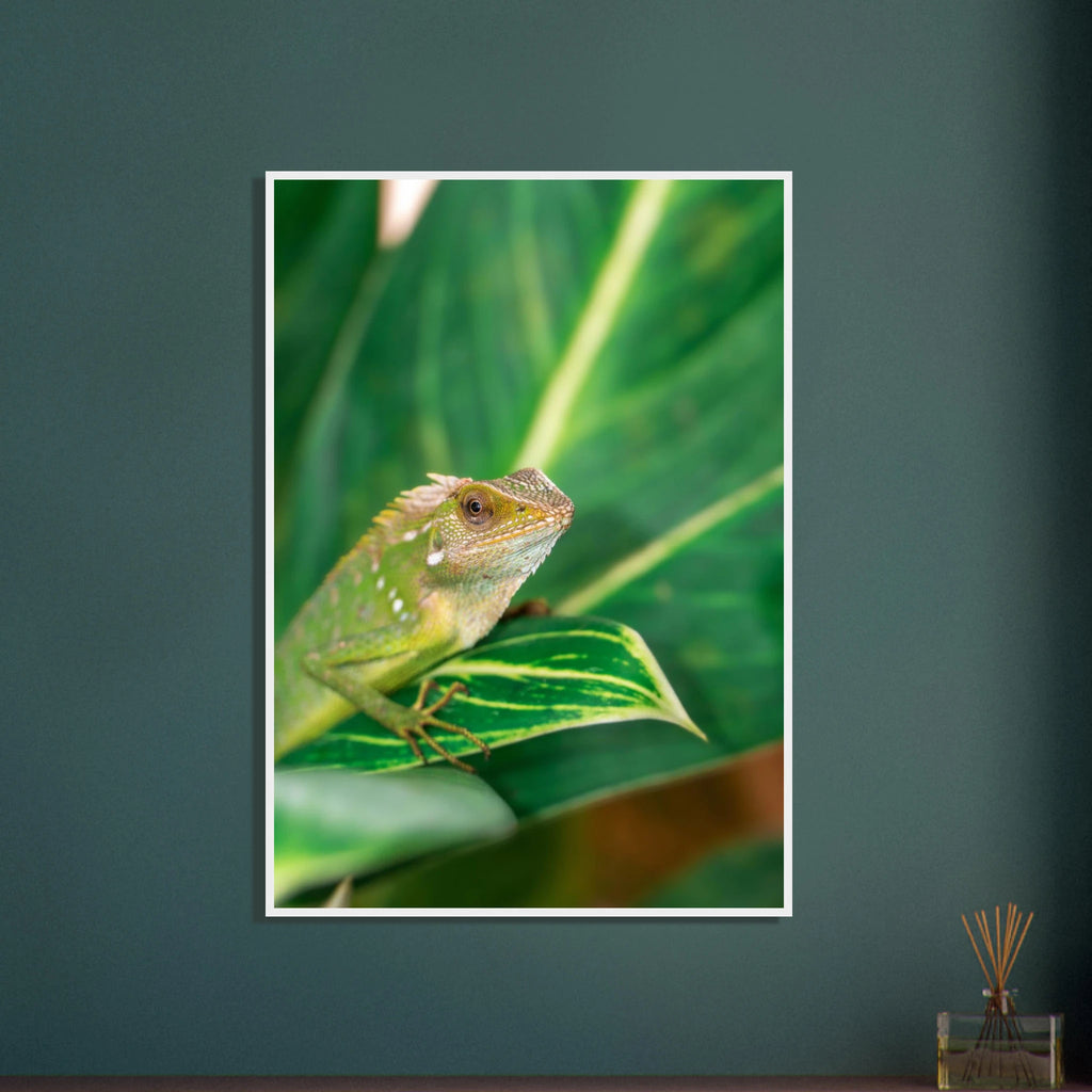 7b2aff08-cbd5-45e2-9fce-2eda7a96c9e4