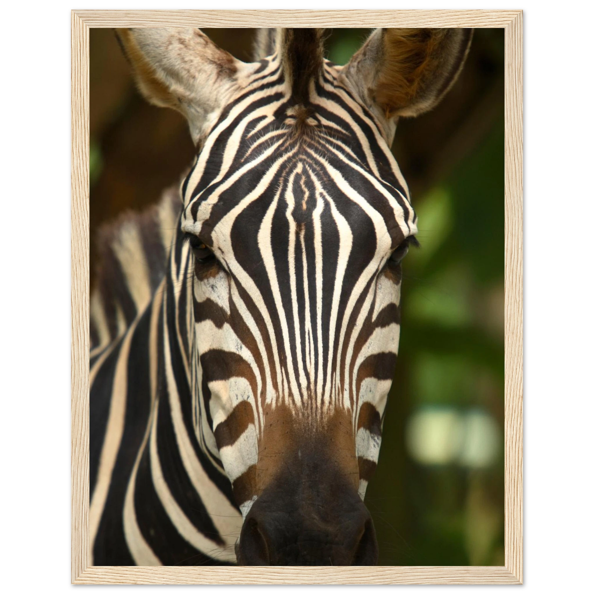 7b34977a-4bff-4359-972a-277d2c73a5b4