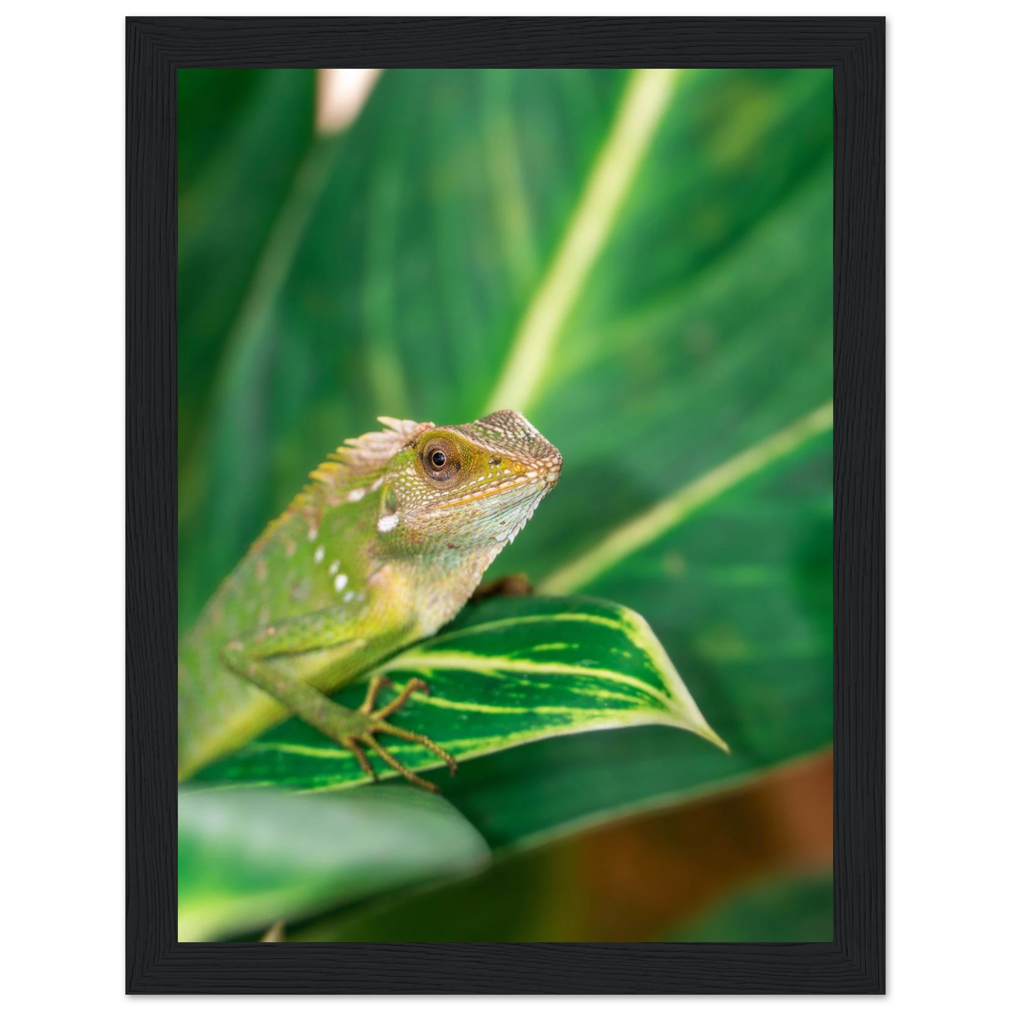 7b6c1d7d-dde5-4565-b178-97fd9fee38d5