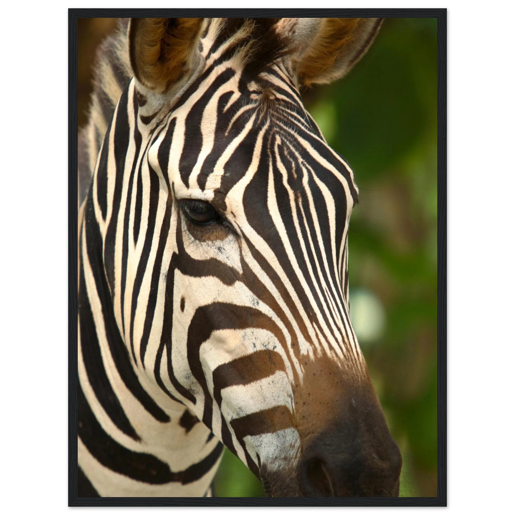 7b869770-97f8-4efa-ad6f-0219a274adf7