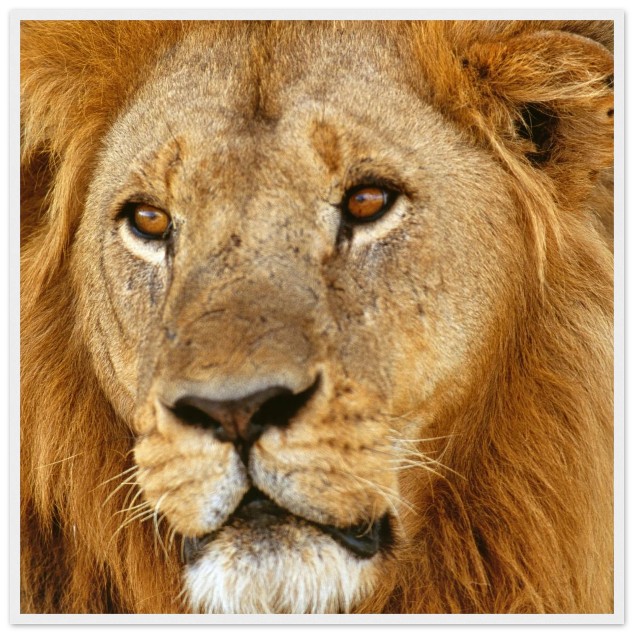 7bb4df07-ea9a-49ef-b4fd-abad1515c60f