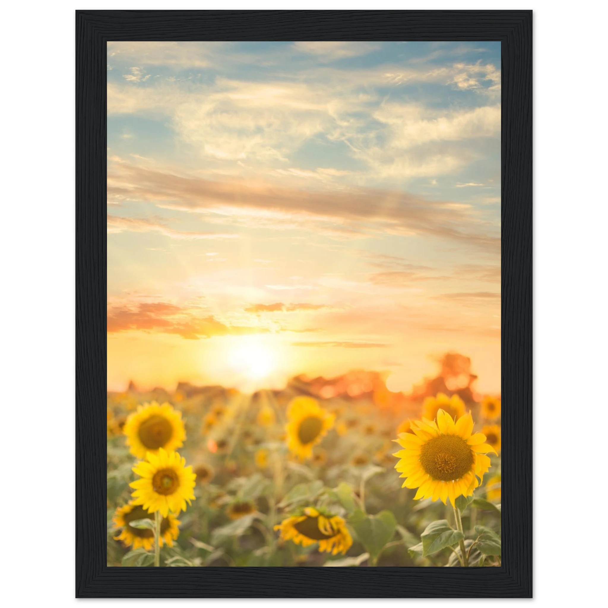 7bf9436d-9c6b-48c3-87f5-f202fa0dcd3b