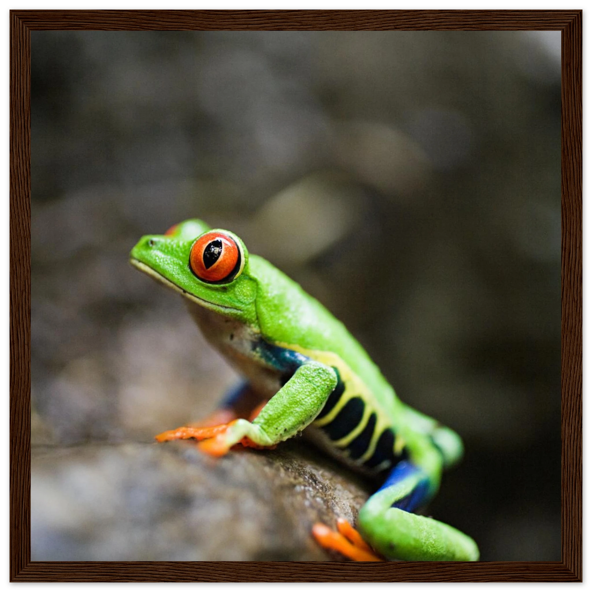 7c24a79f-52ca-4a3e-a632-d5134807073a