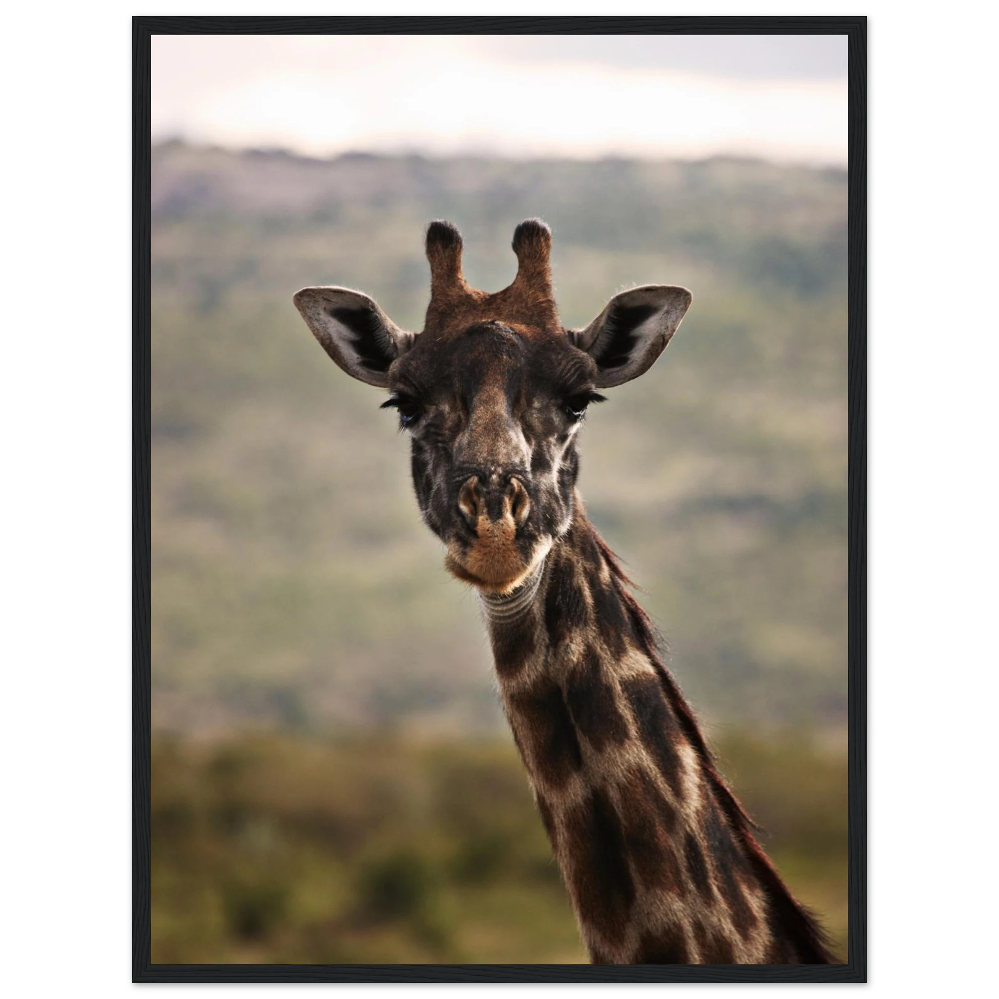 7c5c0674-a13c-45c6-8abf-8a7f83ccafd9