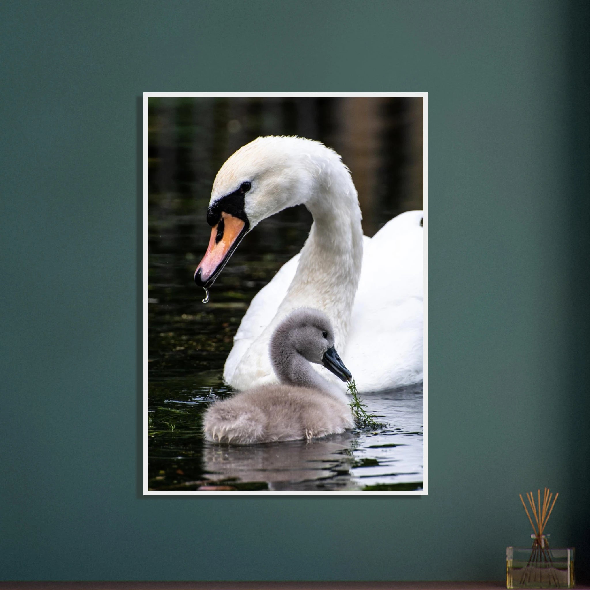 7c5e2c4e-76fe-4353-ab61-2d278611b488