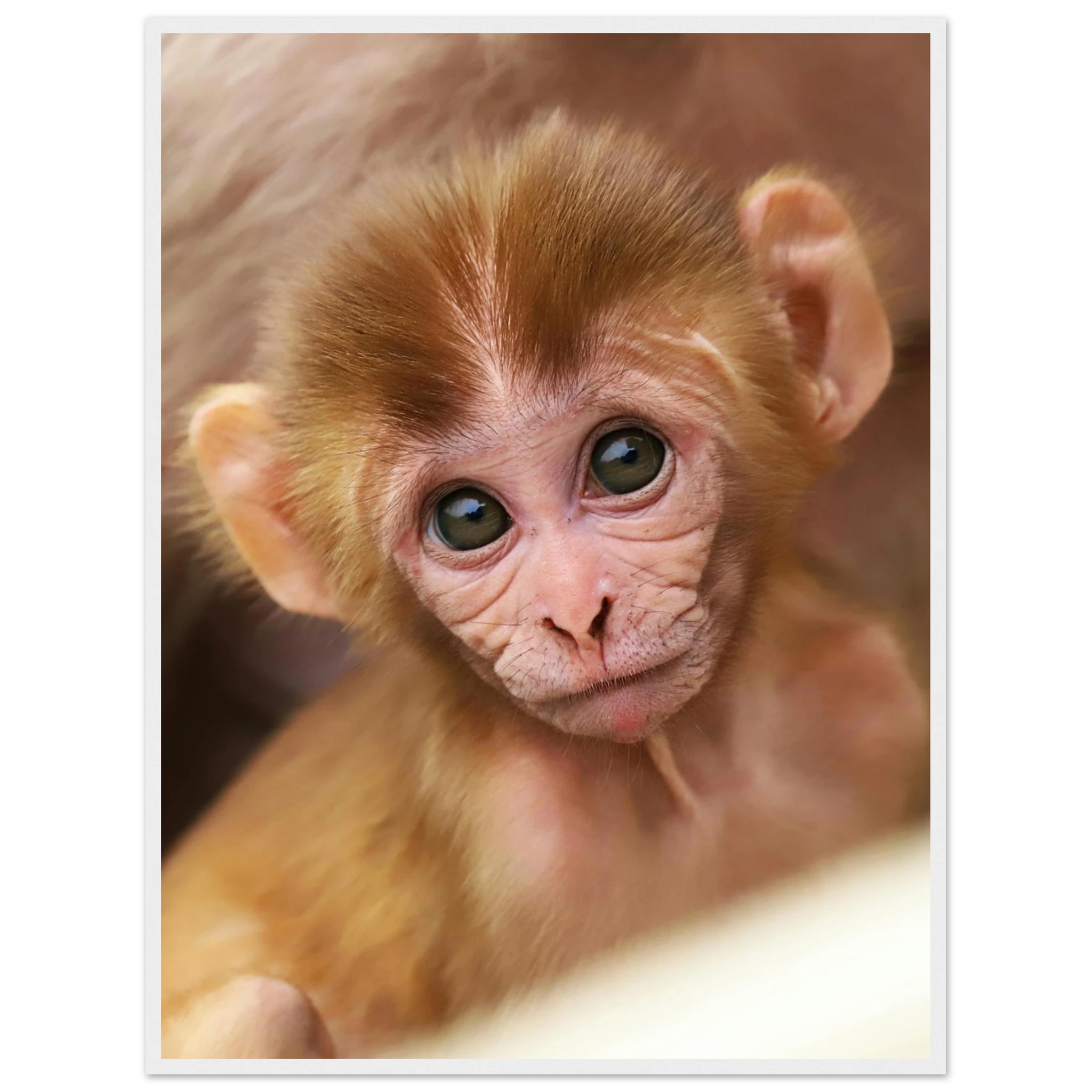 7c85672f-96c5-4ea5-8ca4-75719b426c7b