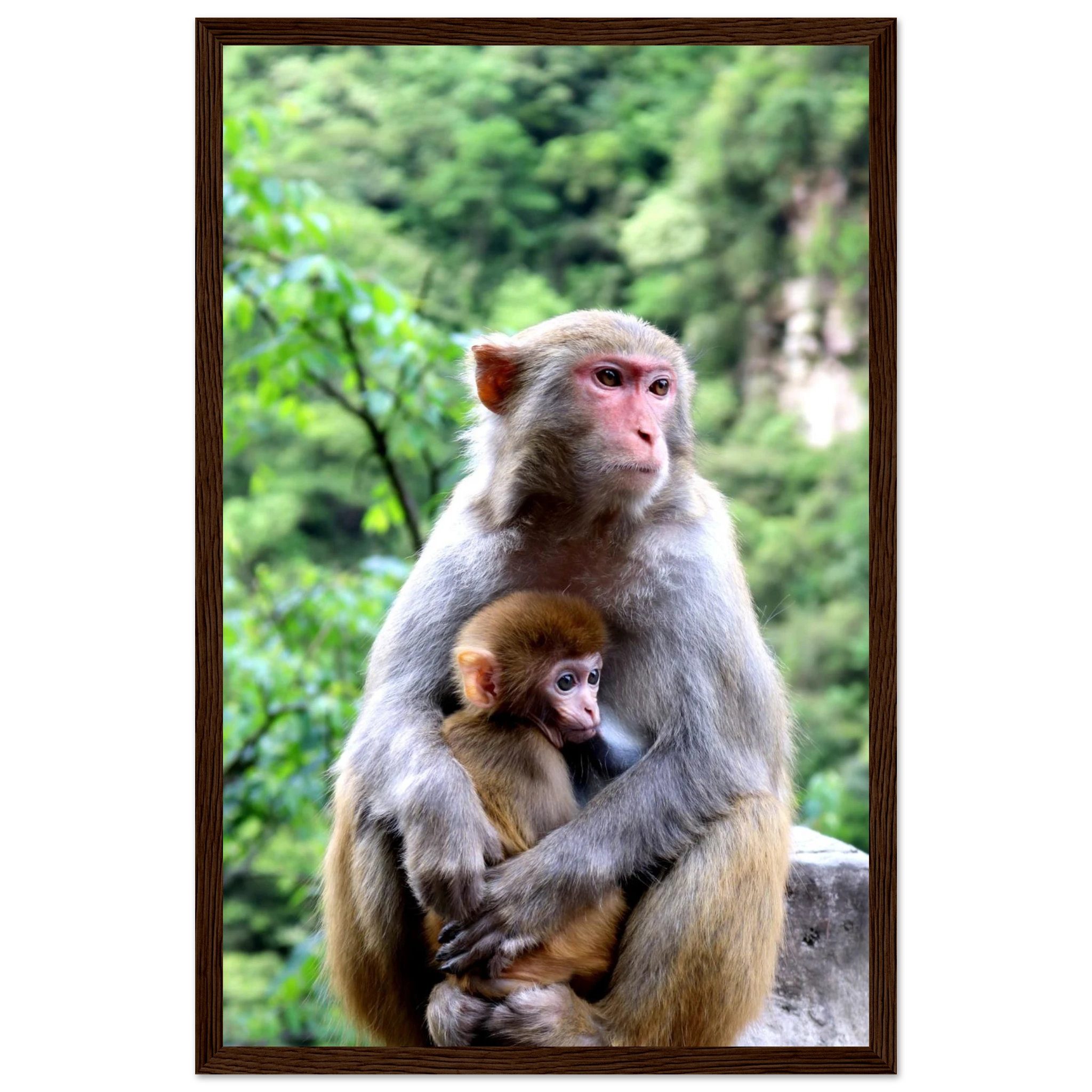 7c8be271-b4a1-472d-8a87-ac15859c3027