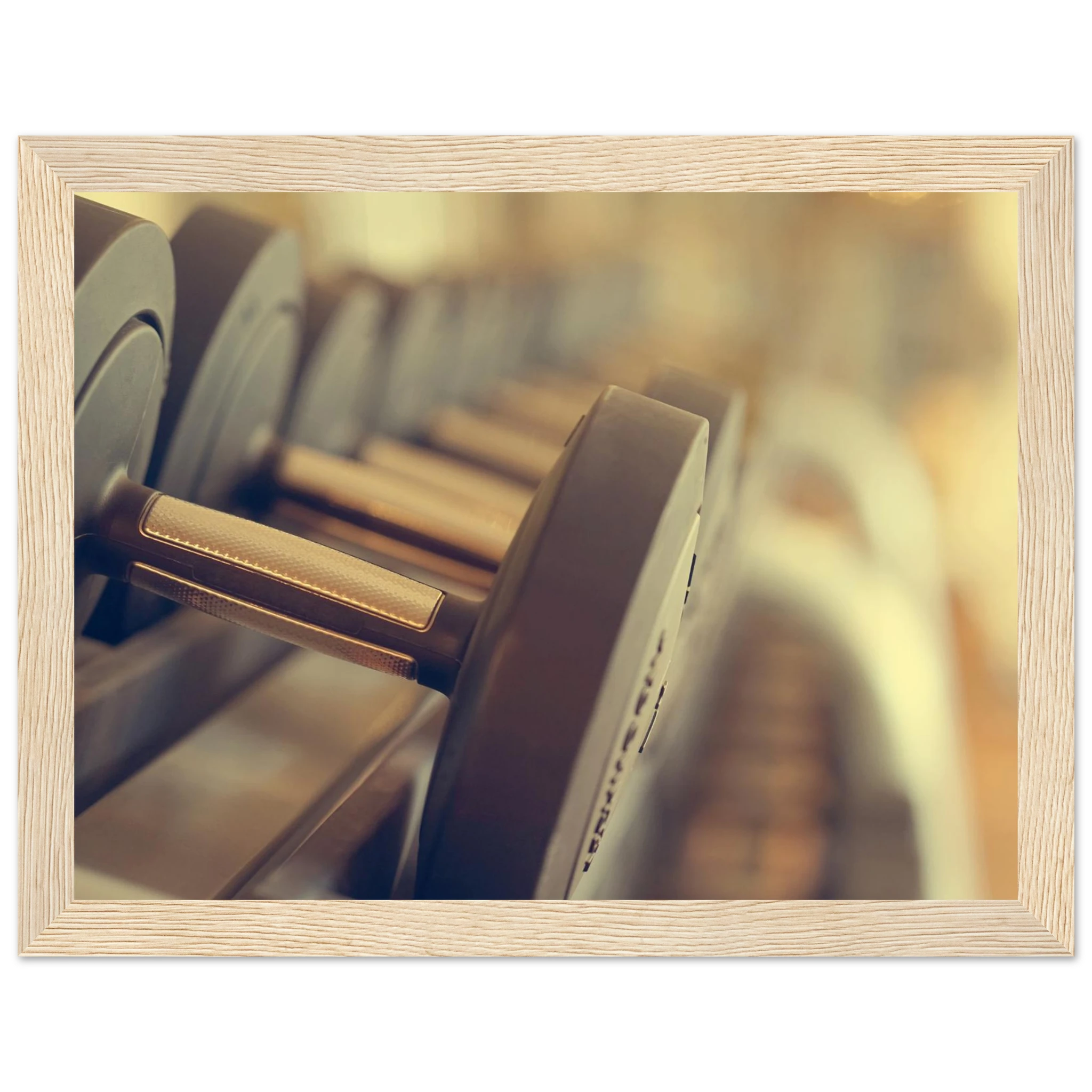 7c9a0495-6696-438e-8802-e4c2f3572e55