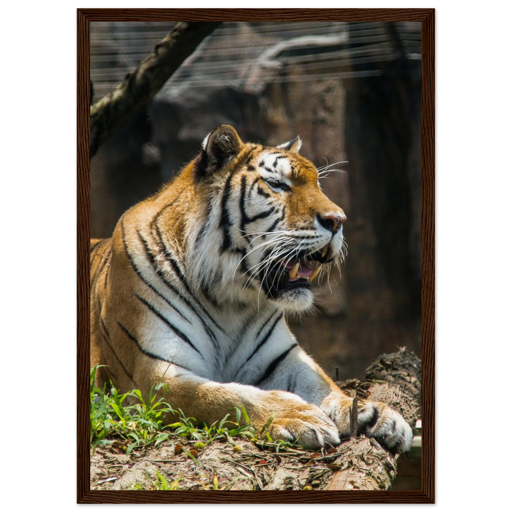 7ca7427d-e255-45d9-9d7b-7c6eebb0e317