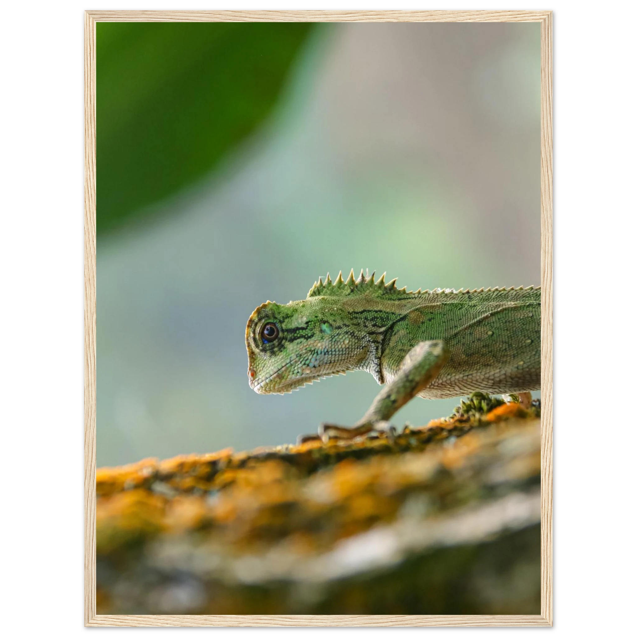 7cbbffc6-9abf-4b19-87af-ddbfb5adaf10