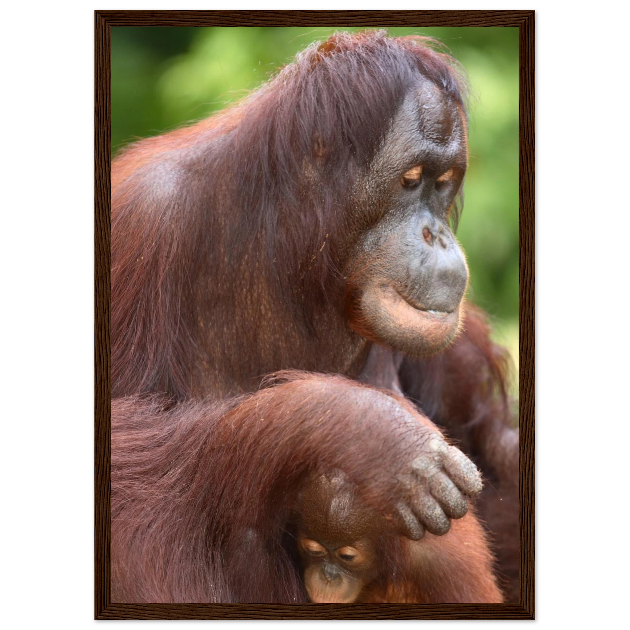 7cd6bcd3-21fd-4cb6-a2f7-1205668b27cf