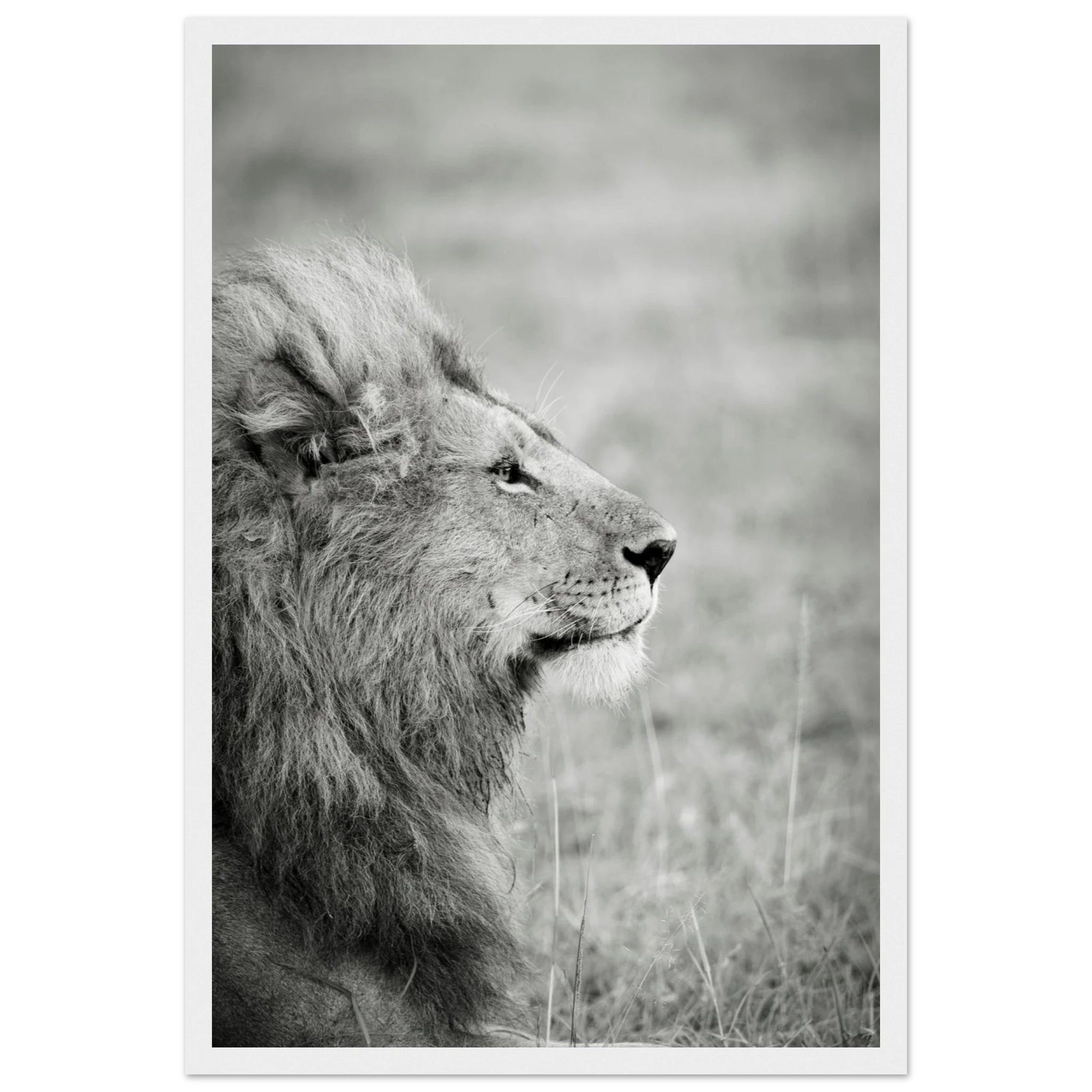 7cdd4889-091f-4049-ad48-0e5051c79a44