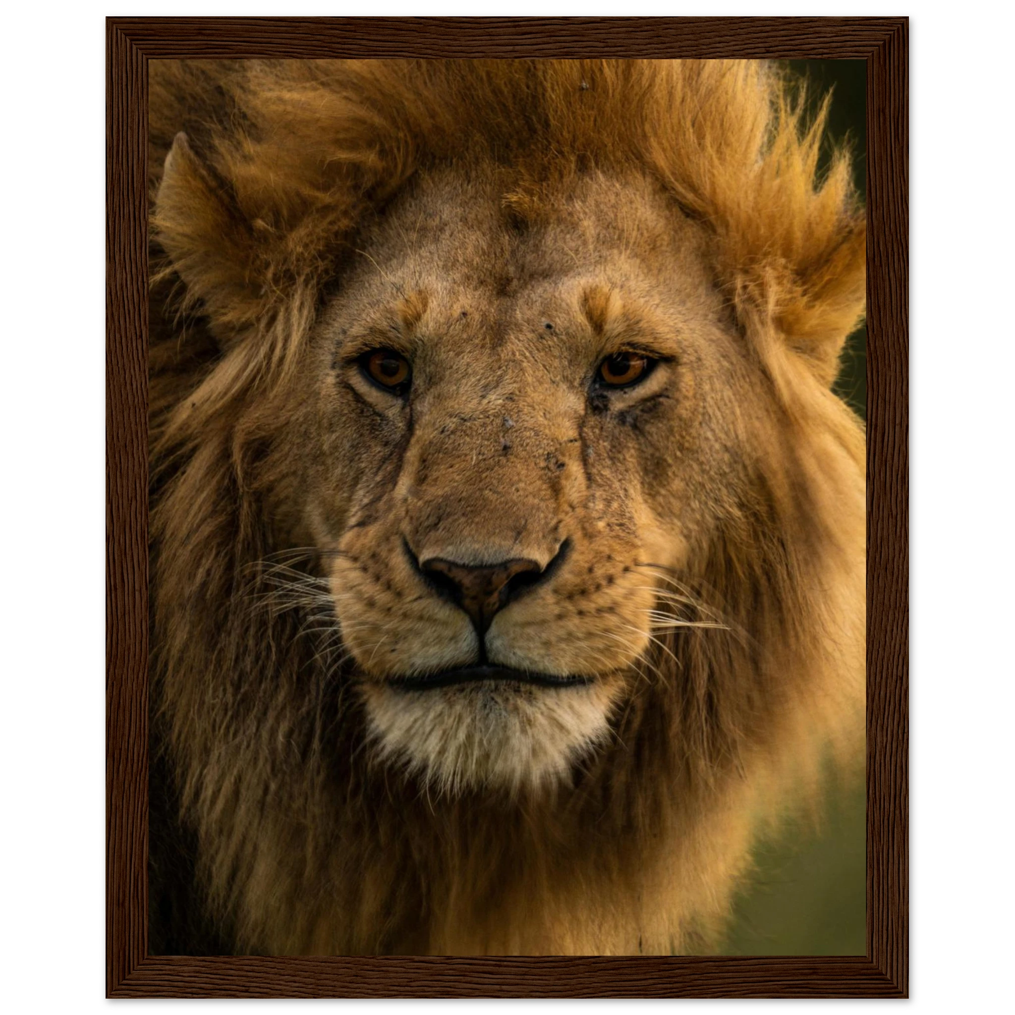 7cddc78b-cd02-4f7d-a7e5-82b4ef916a57