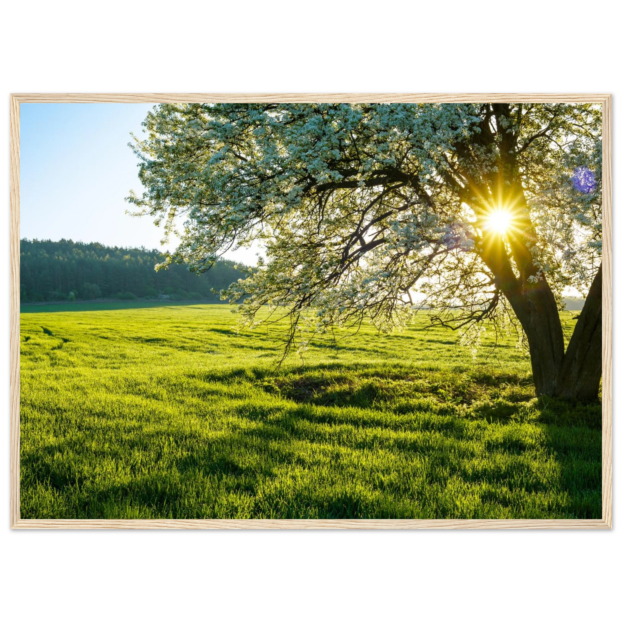 7cddd017-fd98-4c11-85ca-5a8e68e8592b