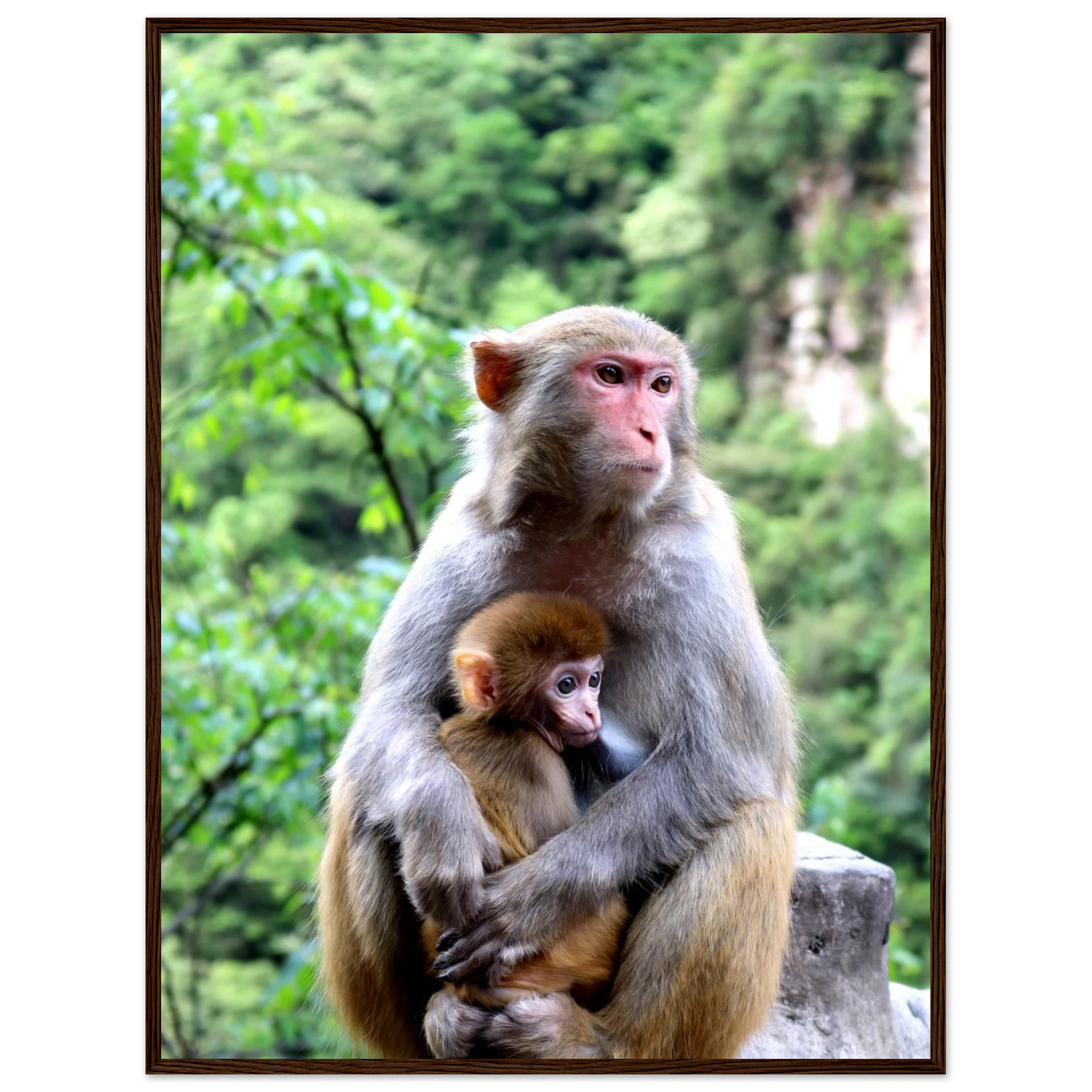 7ce79cae-3441-4e7d-aa58-be6186c4da5b