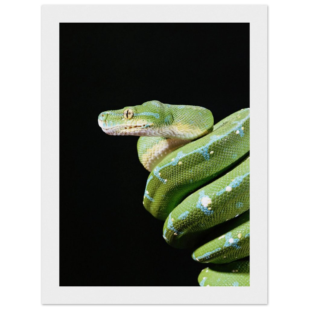 7d199e08-0de3-4e1e-9567-3691ae70f20a