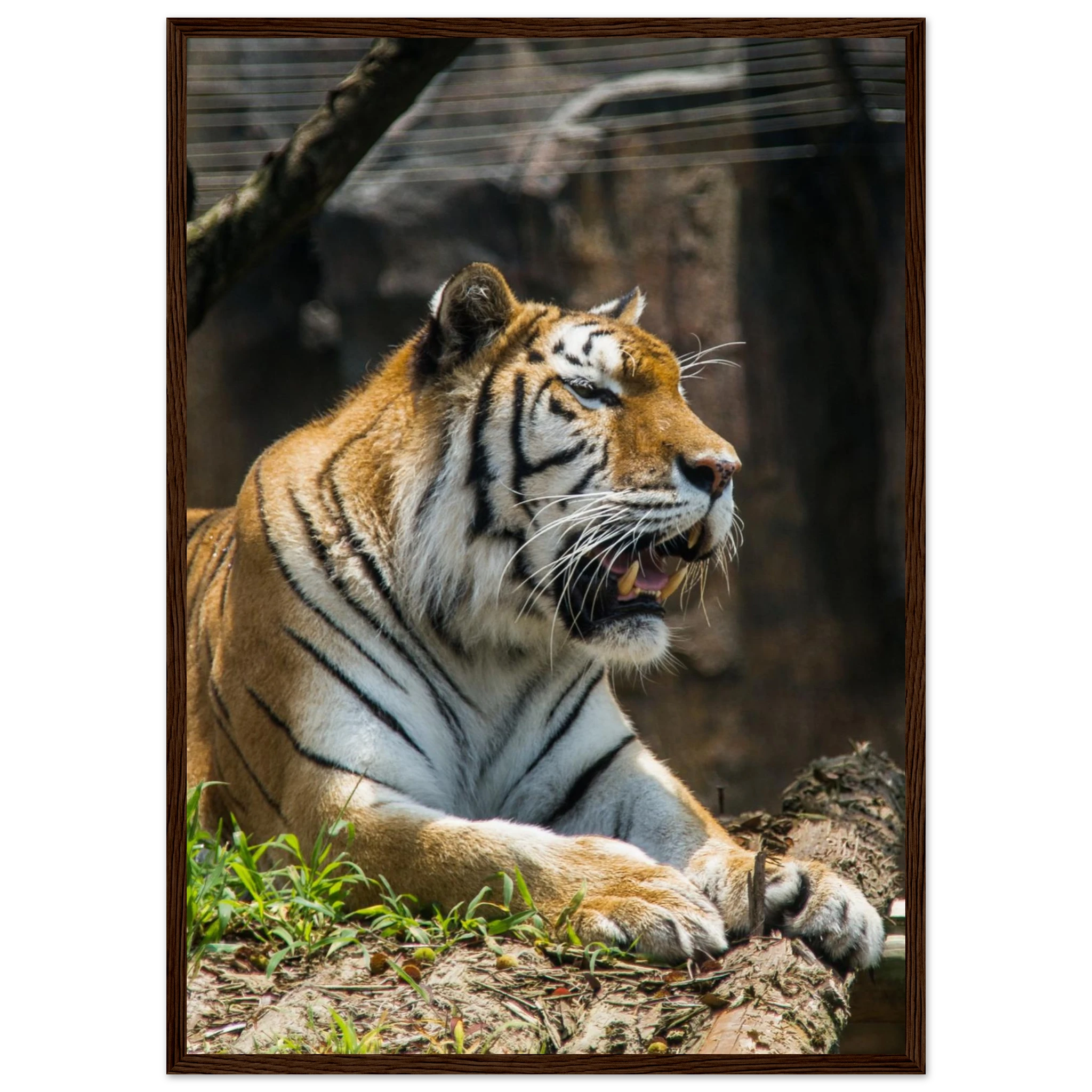 7d2a03cf-e789-4d02-9857-b6af944ab07d