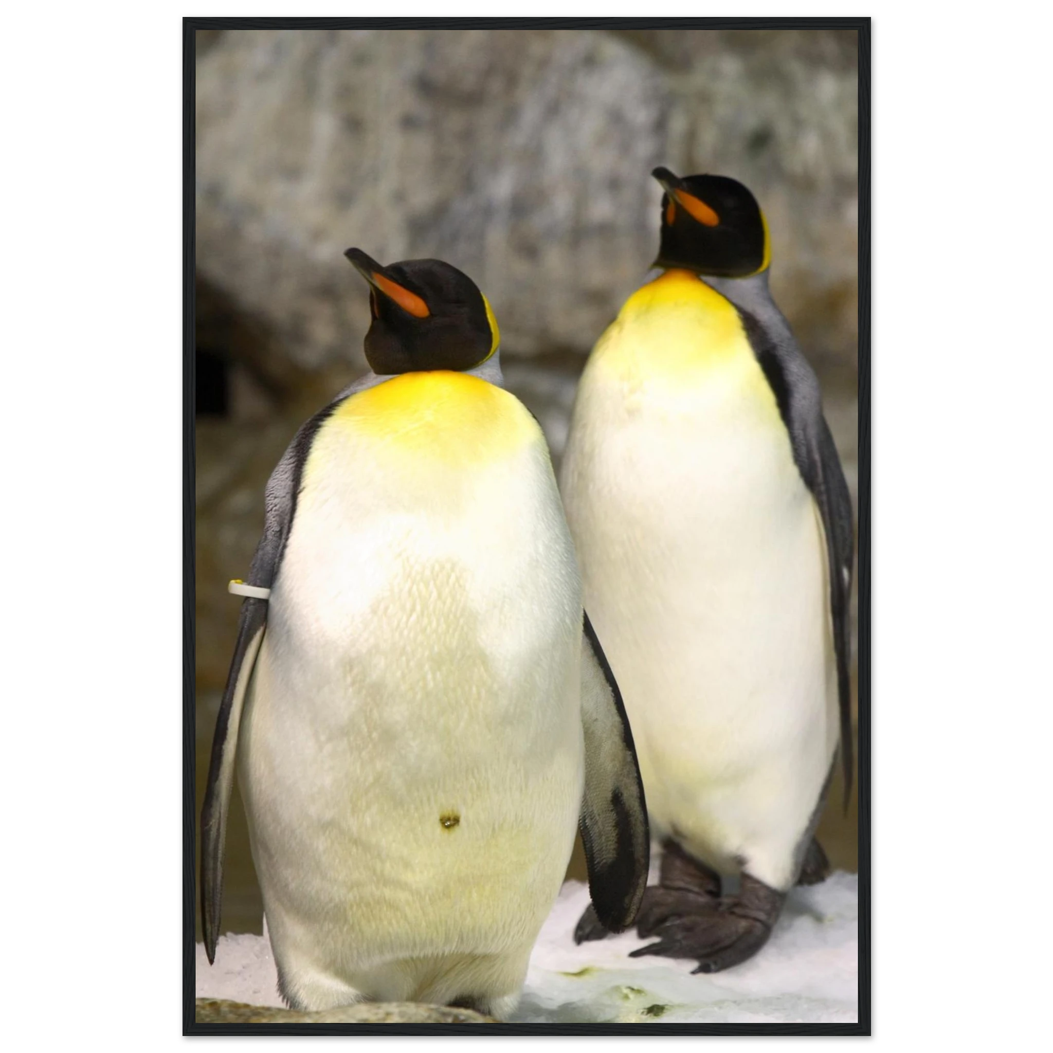 7d686599-088c-4f86-b4b2-819889f3039e