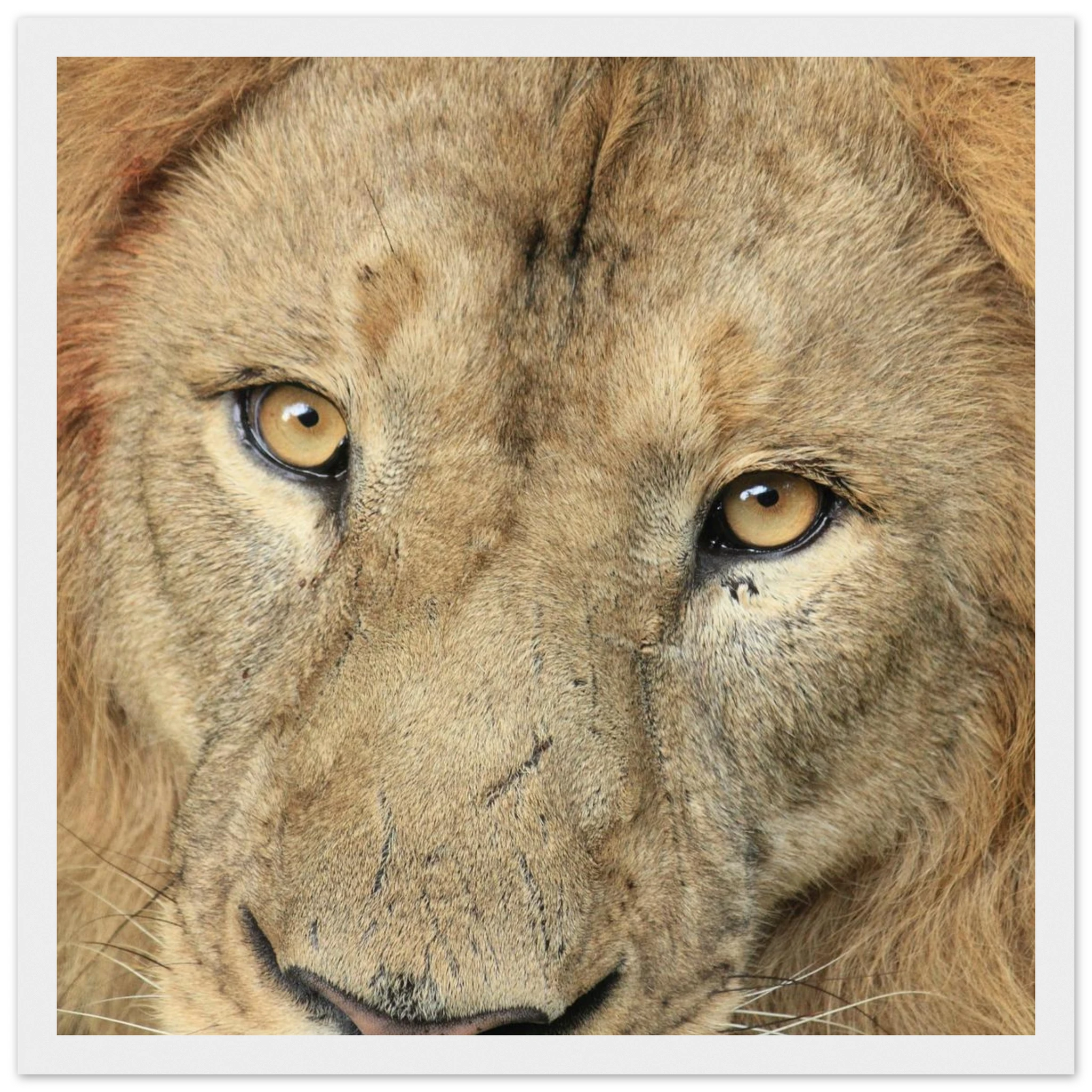 7d68c38c-2956-4ce6-9f8a-2a35f6675cac