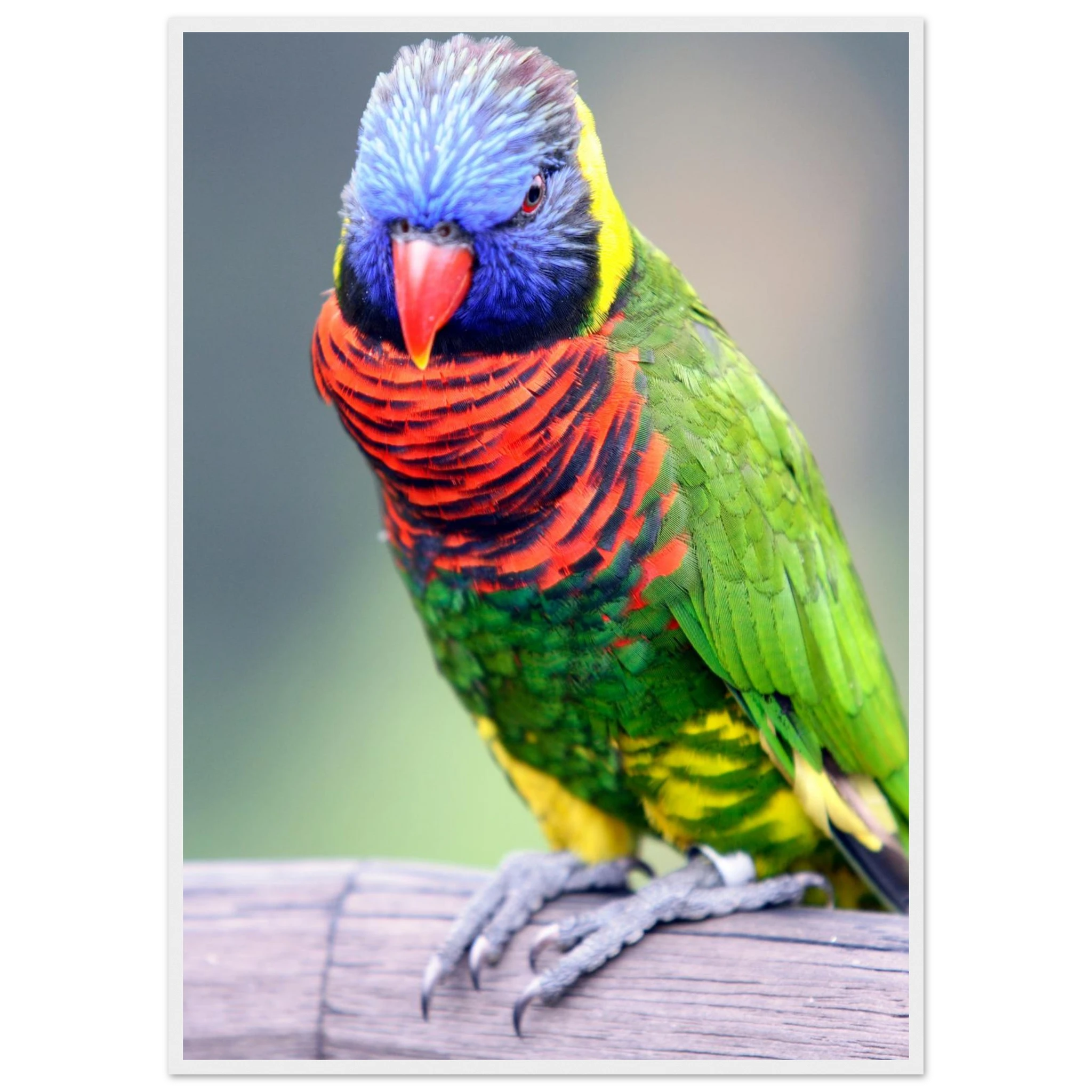 7d8c2fbd-6a98-44e9-a0a2-ba0f64fd3b6f