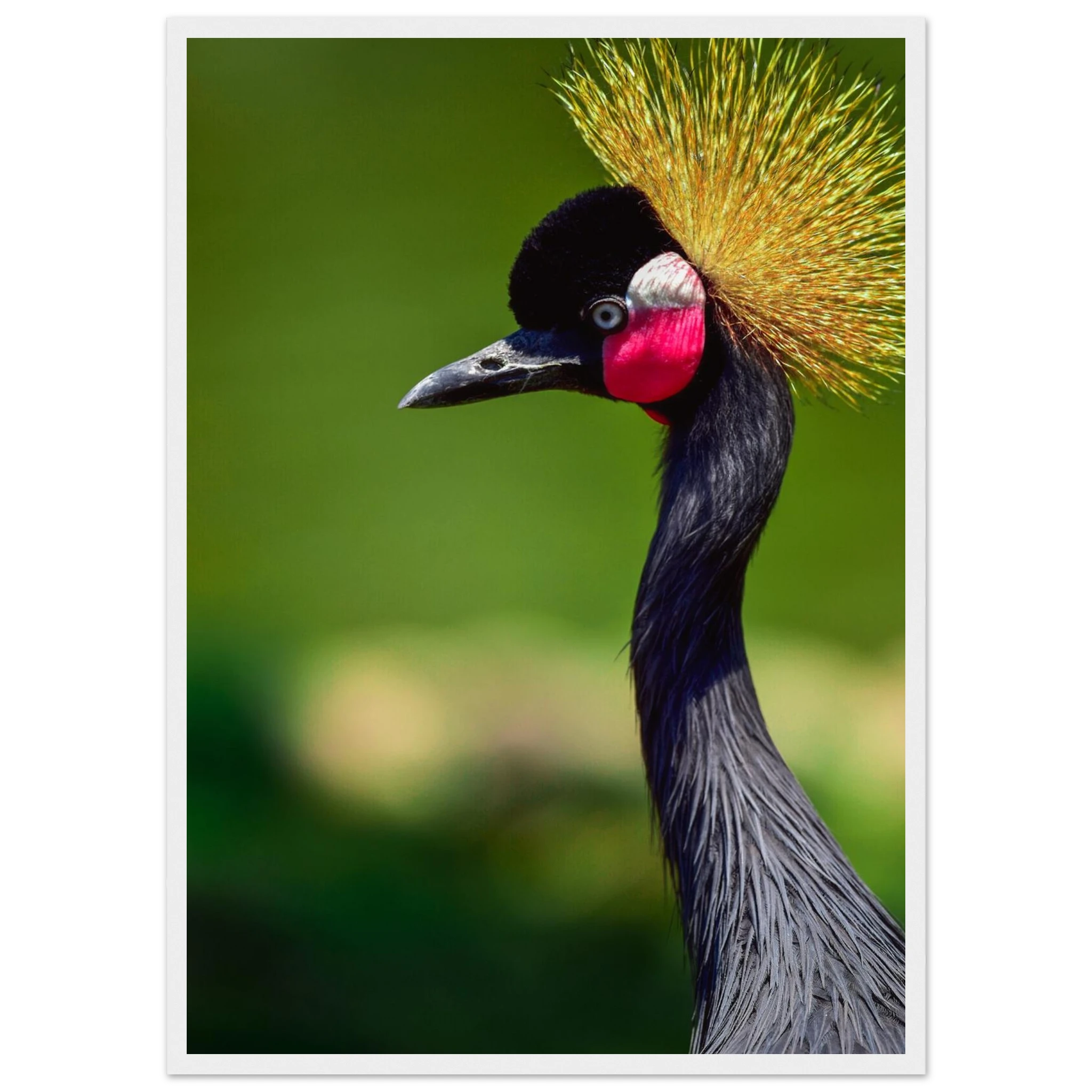 7d9f2053-1868-455e-b23c-e9ee683fccbe