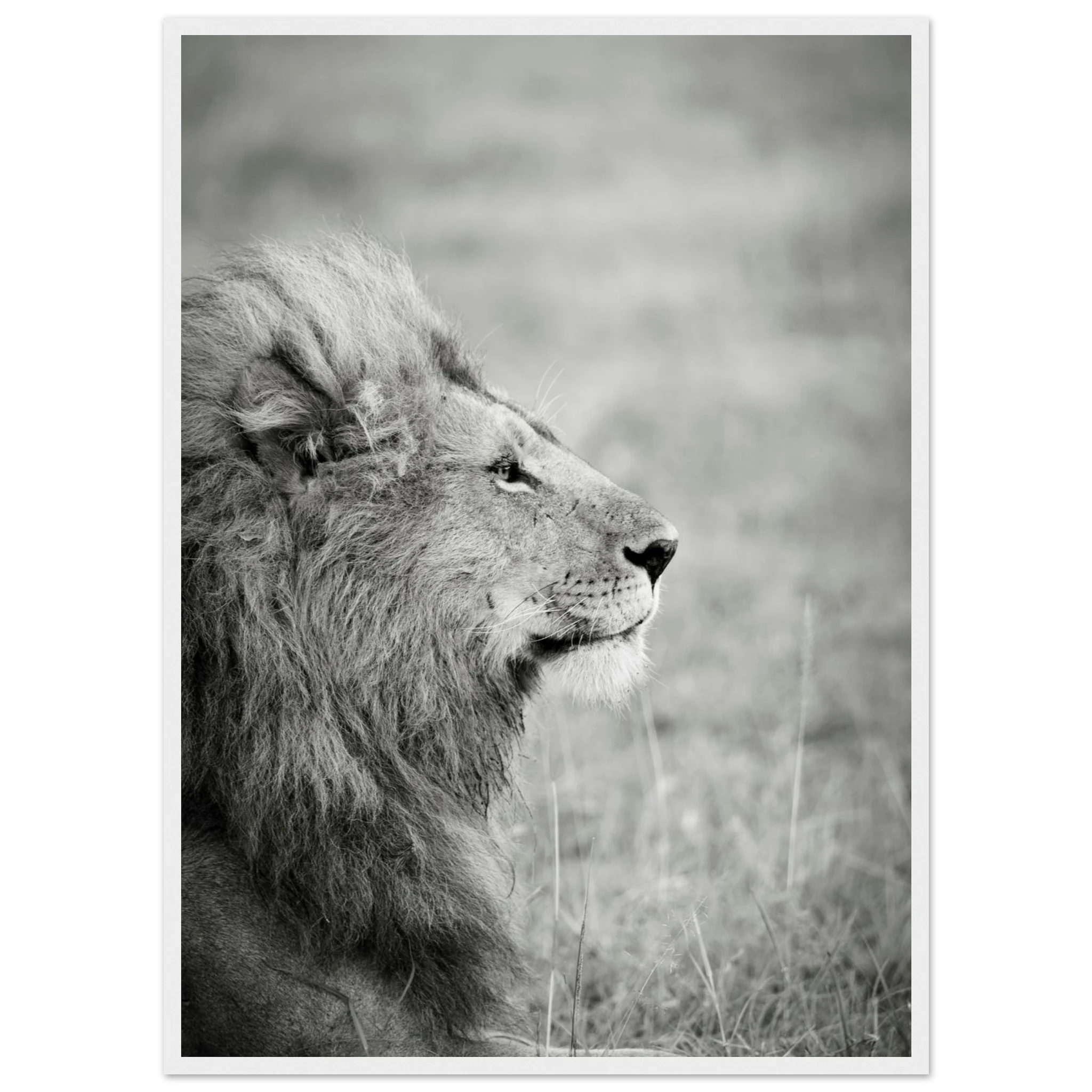 7daf6fad-c752-4af4-a0a4-595d9904d56a