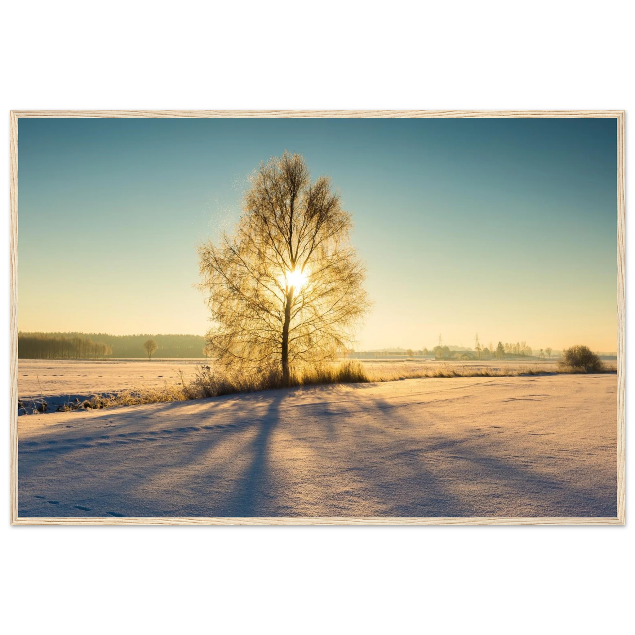 7db603de-776a-41db-b275-2560c999878e