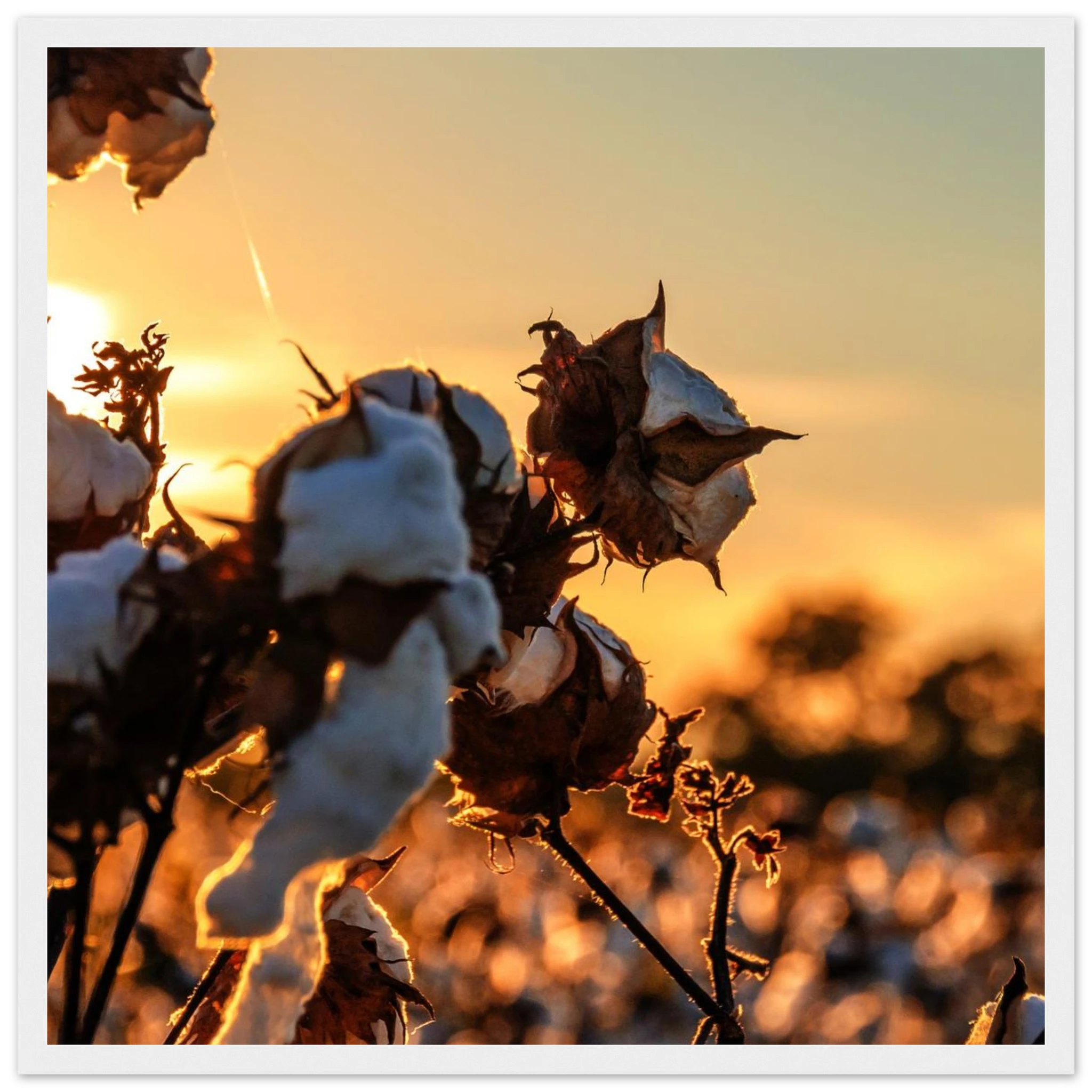 7dba8119-ba94-4a31-a02c-afaece188927