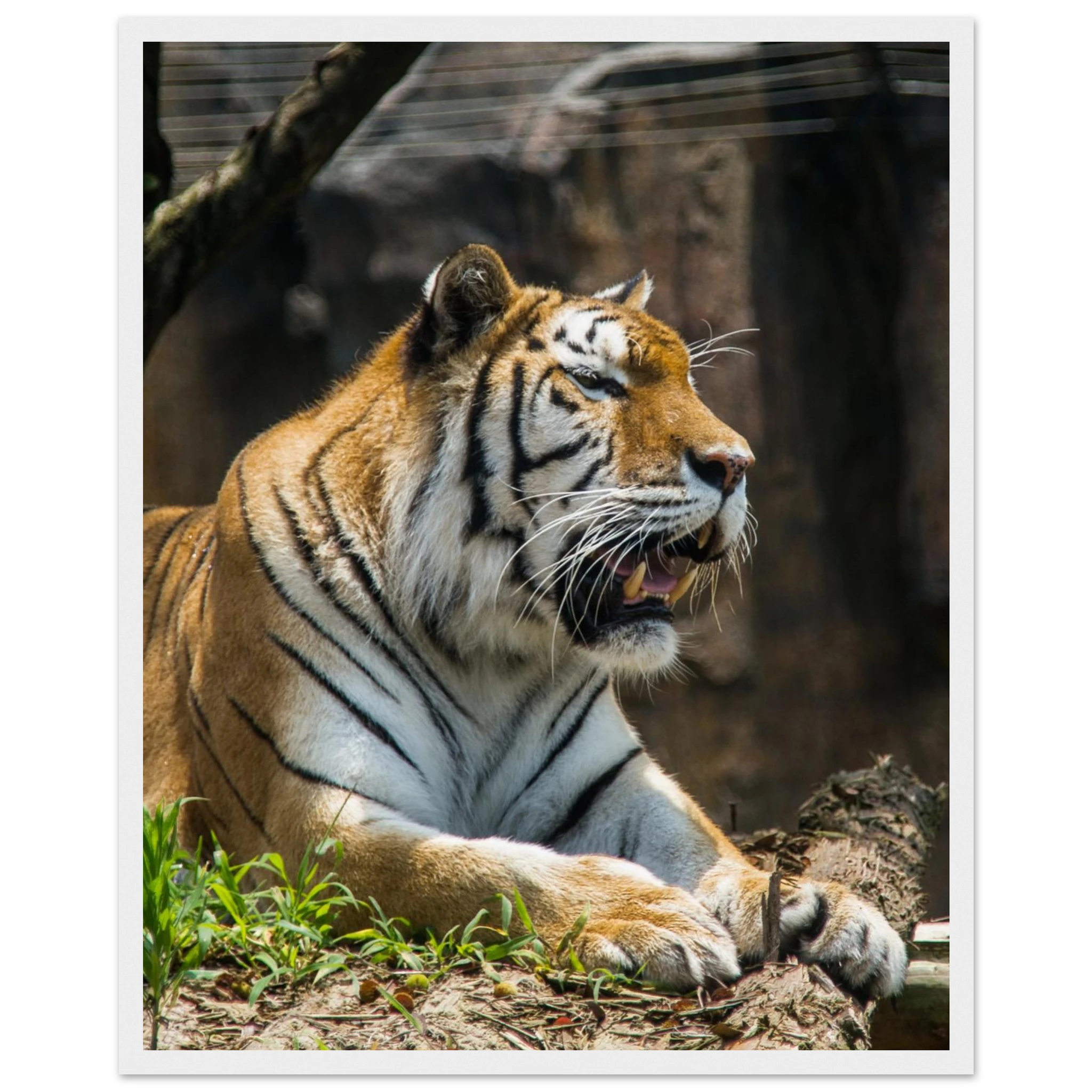 7dc7fa66-45a7-4adf-927a-3c7eb94b7400