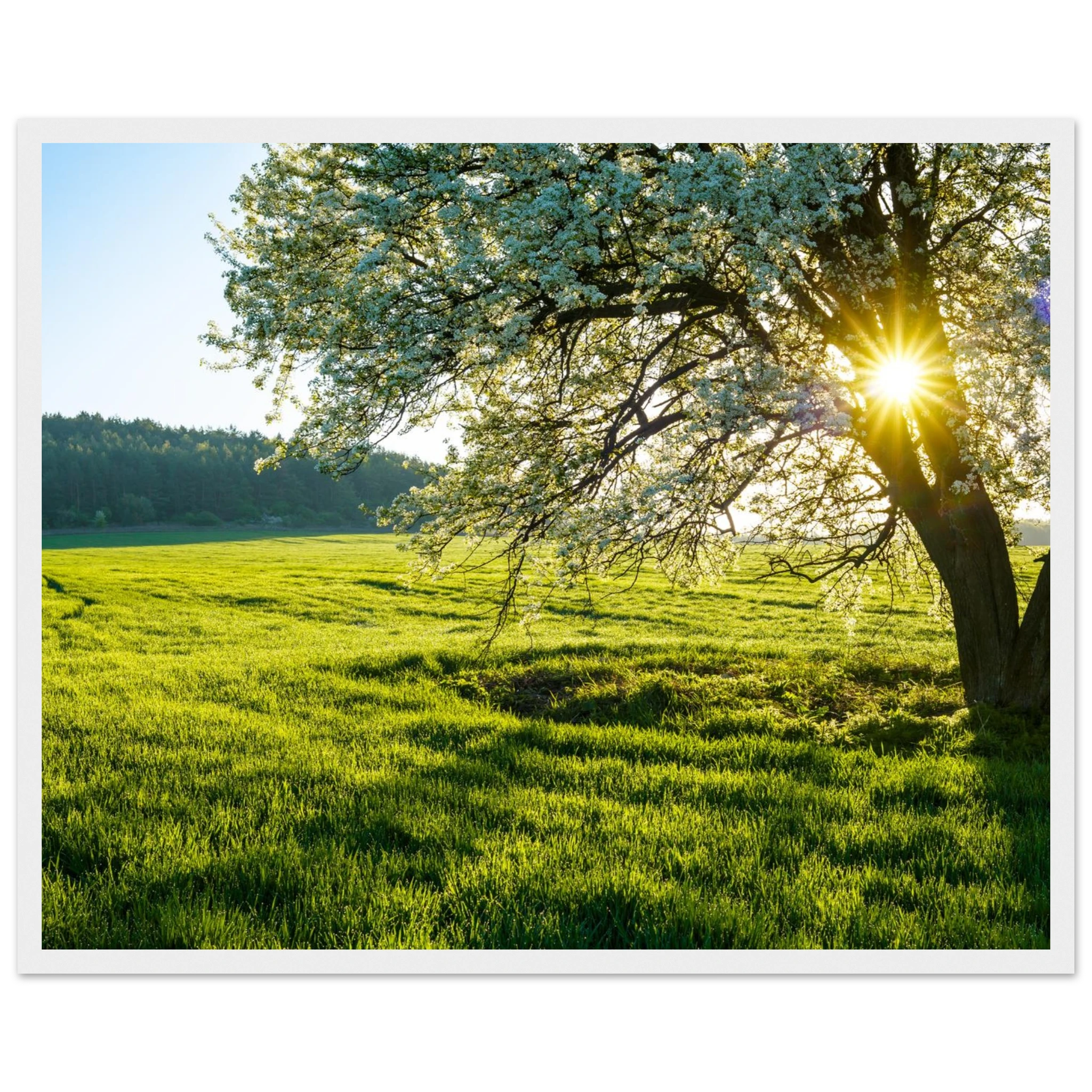 7dca20a6-b8ee-4e33-a9fa-66dd136b4753