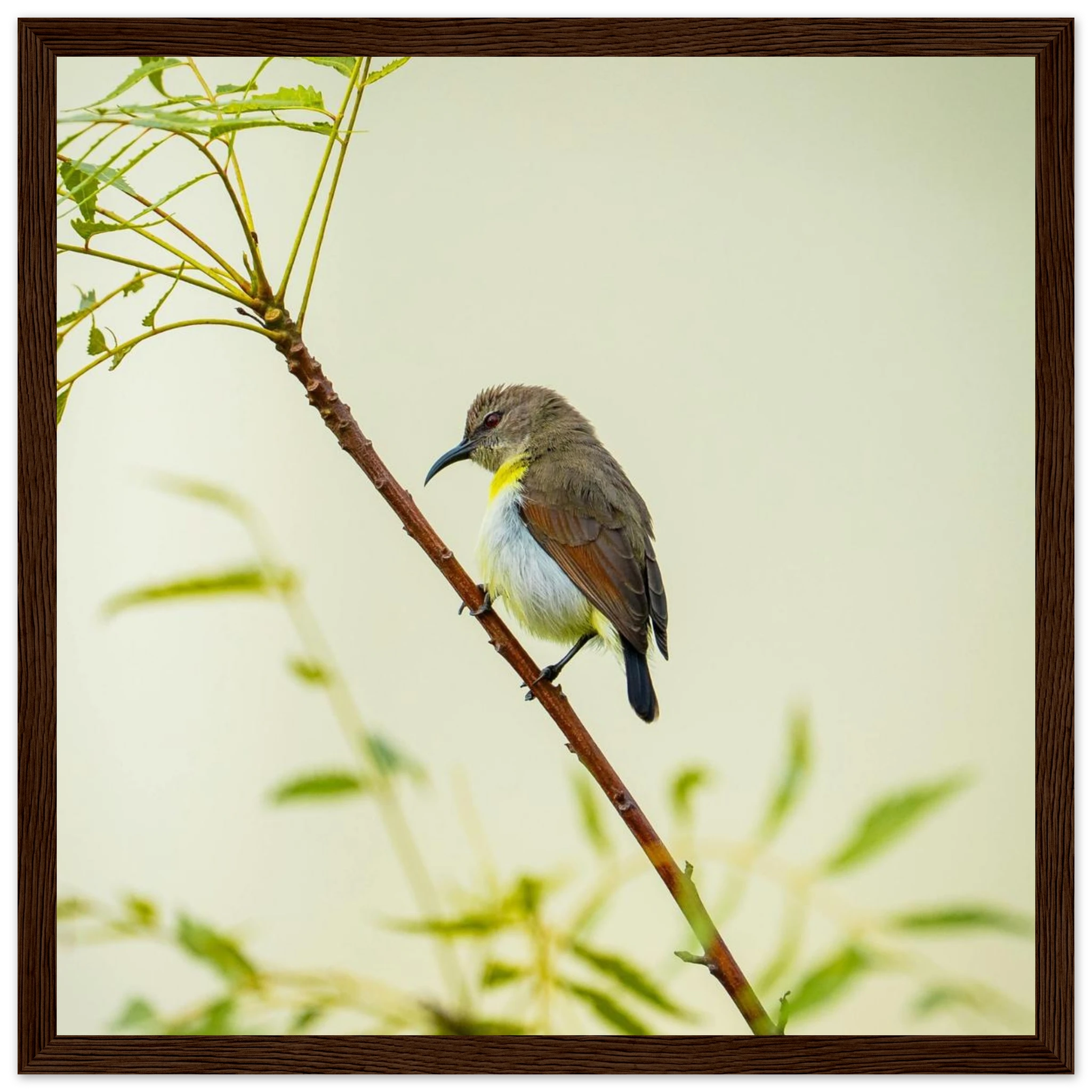 7dcc988d-5a35-4aa9-80f6-72b65285e71e