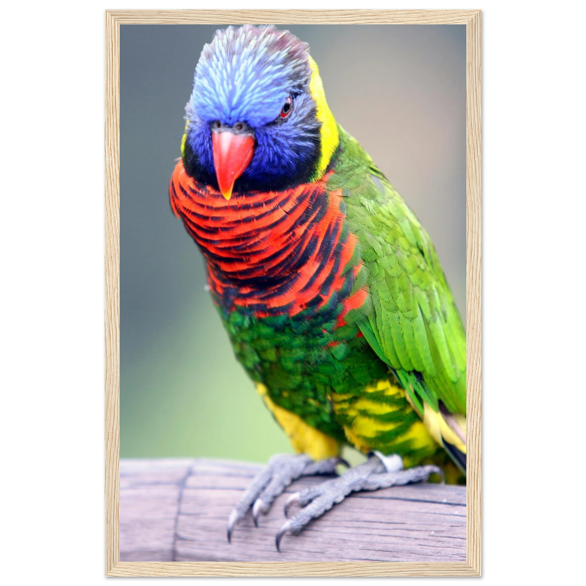 7df6fcc9-e1ff-4047-b32d-12e386811008