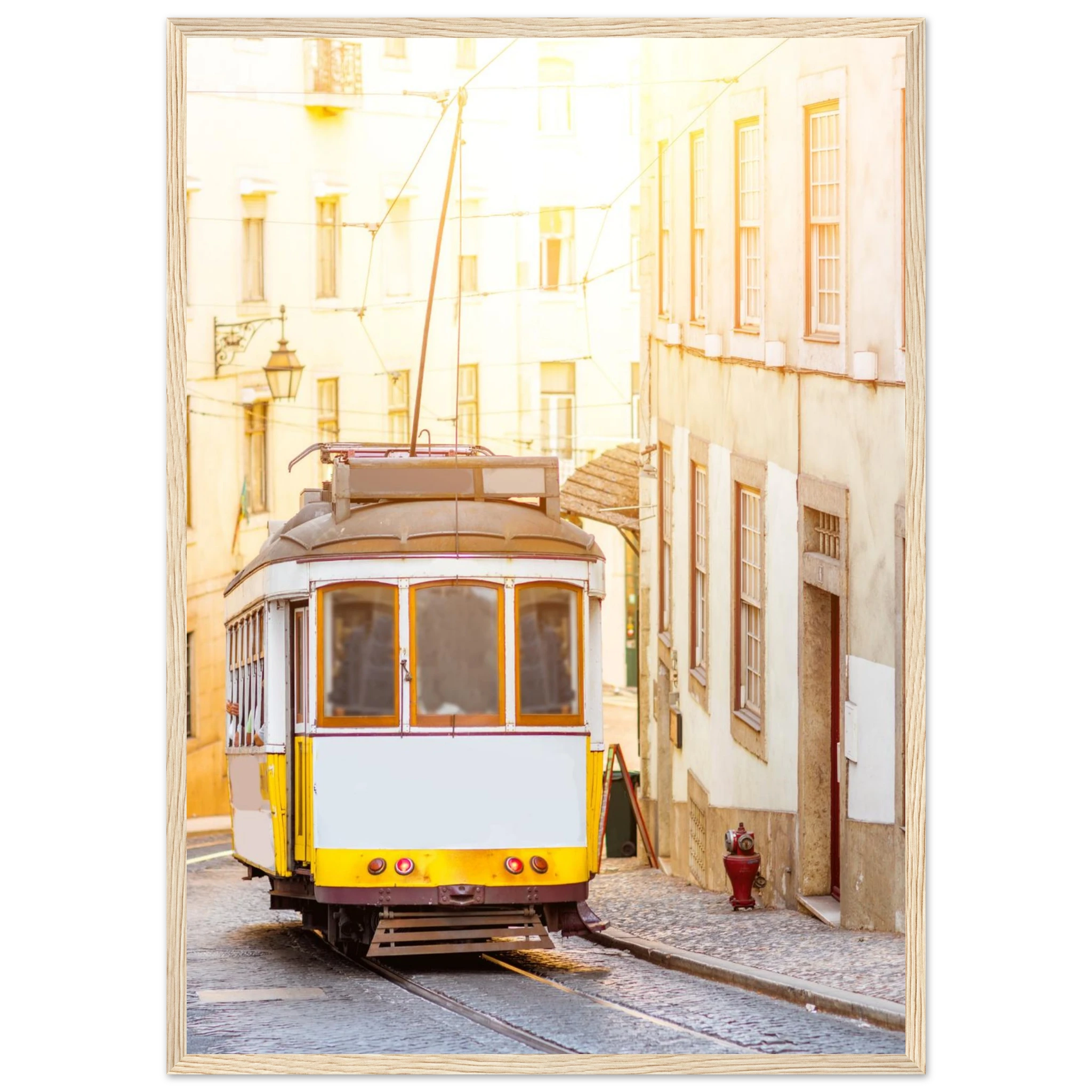 7e3aab2d-b0db-4e53-b06e-378c5a6fbbba