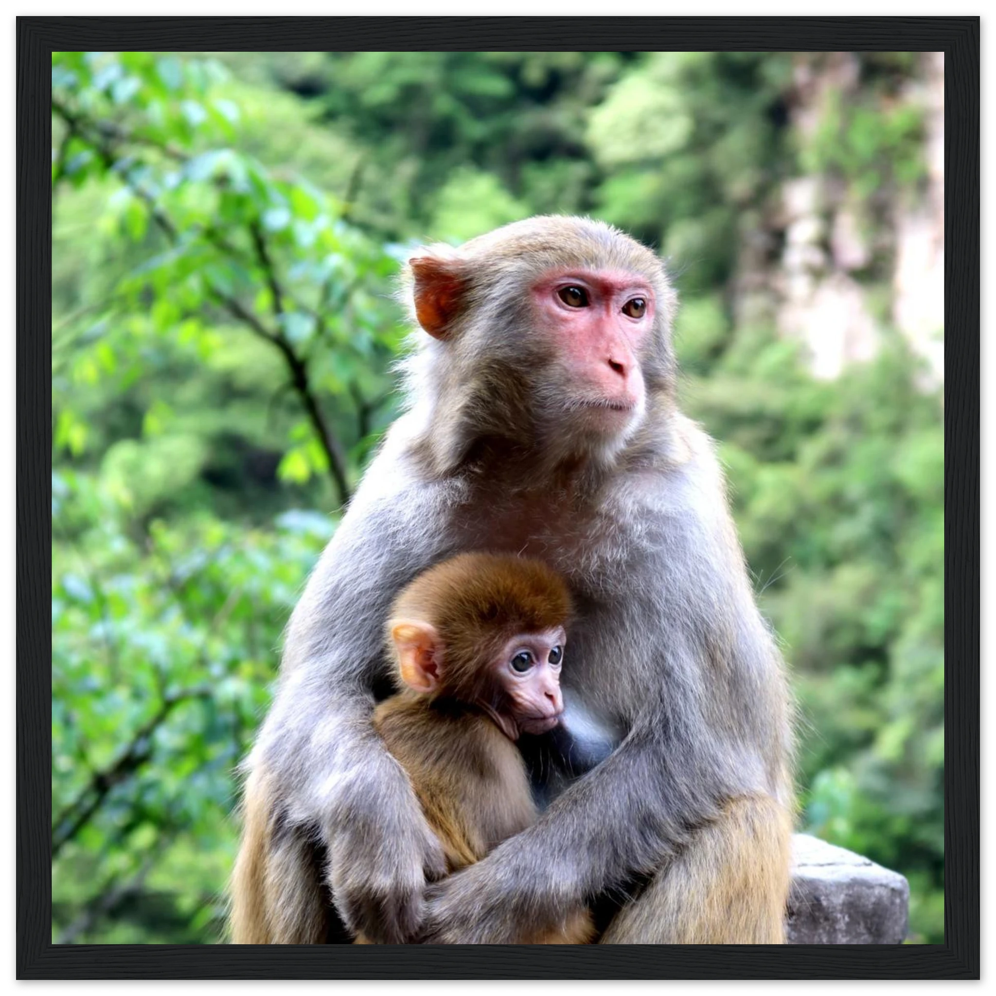 7e45e4ba-189f-488b-b2cb-eb00372f8e33