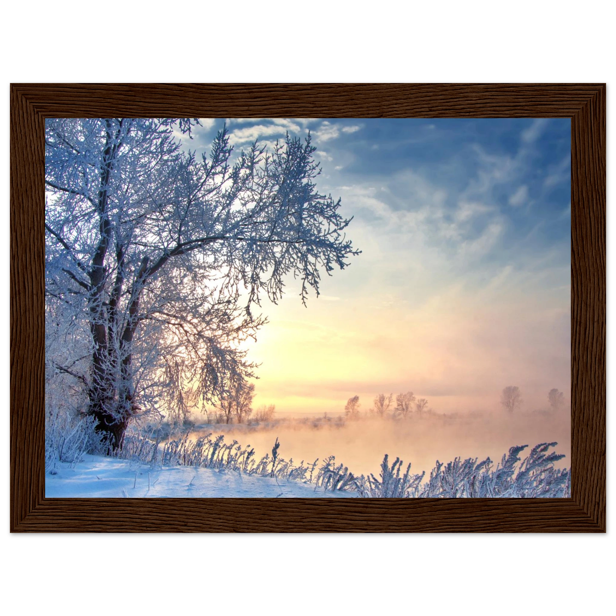 7e5baf38-3f92-4344-85e7-0f37cce1fb12