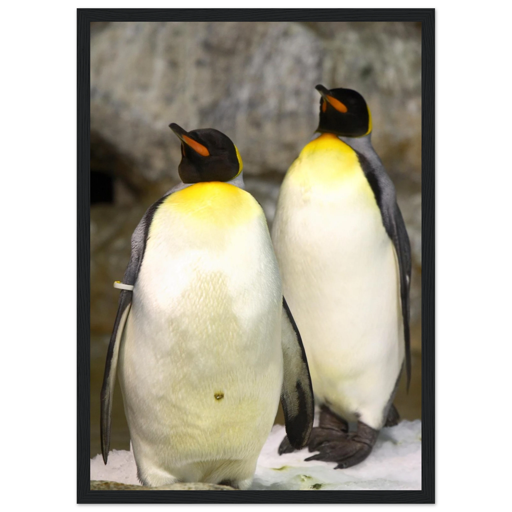 7e7d8daa-96d1-482e-a55a-737b721bad1c